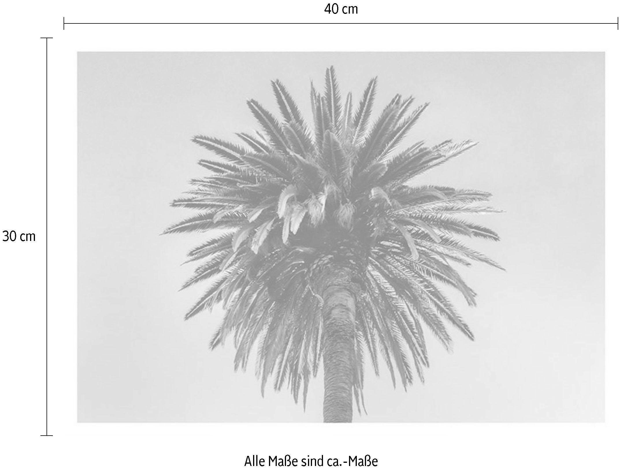 Komar Wanddecoratie Palm tree Wanddecoratie - zonder lijst (1 stuk)