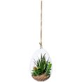 creativ green kunst-potplanten vetplanten-arrangement met ledverlichting glazen houder met led, om neer te zetten of op te hangen groen