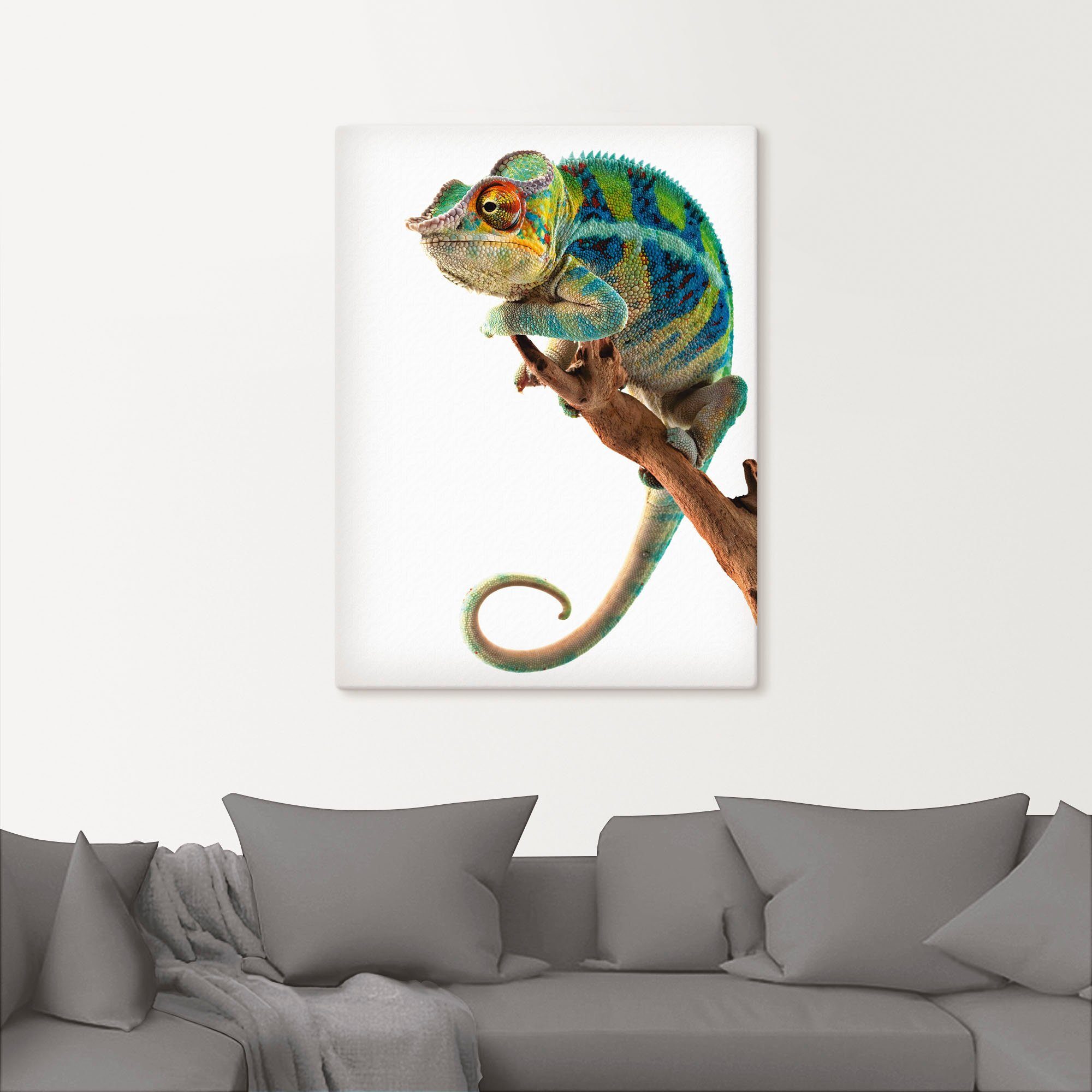 Artland Artprint Ambanja panter kameleon als artprint op linnen, poster in verschillende formaten maten