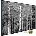 papermoon infraroodverwarming bos zwart  wit zeer aangename stralingswarmte multicolor