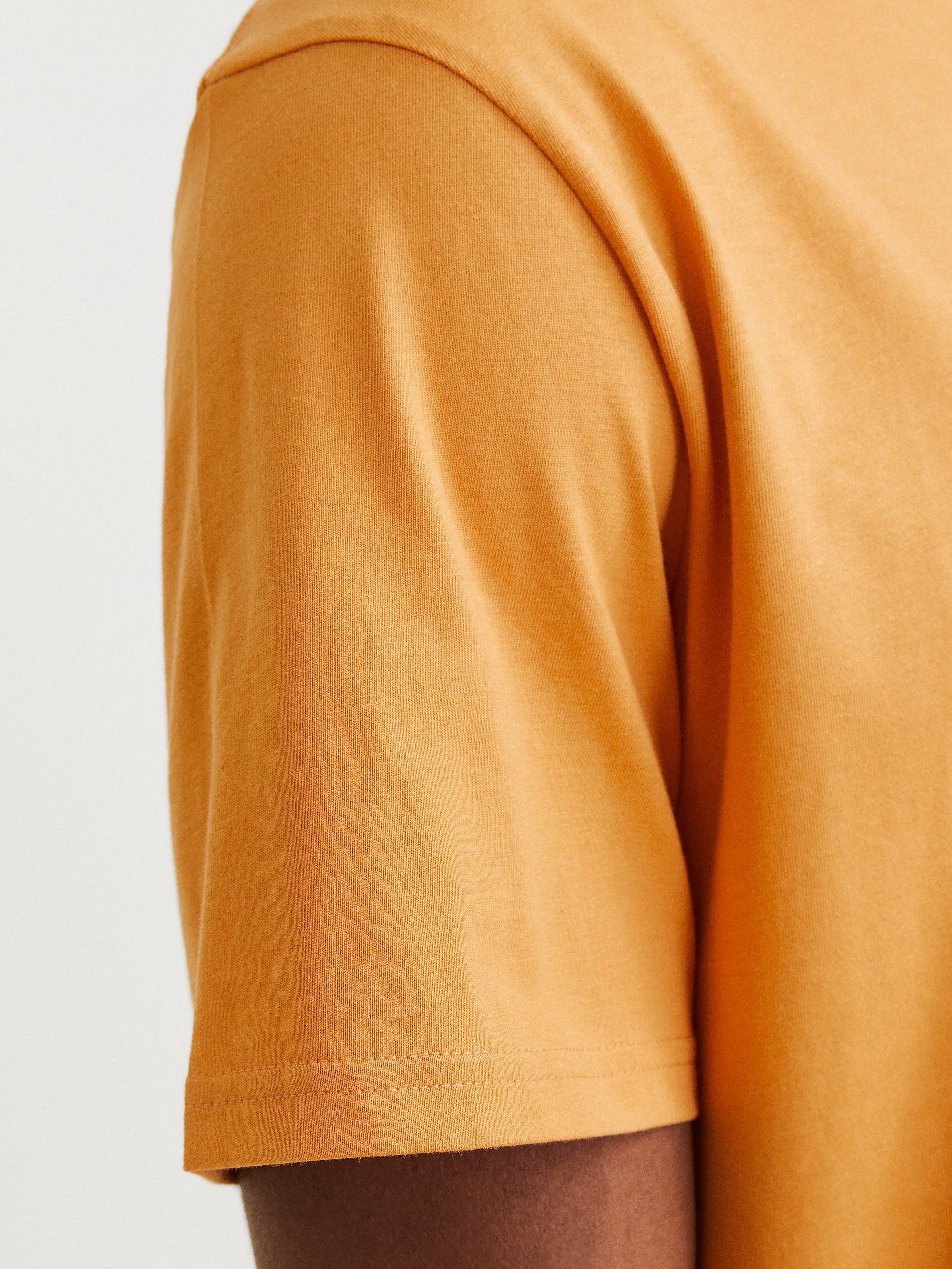 Jack & Jones Shirt met ronde hals JORVESTERBRO TEE SS CREW NECK NOOS
