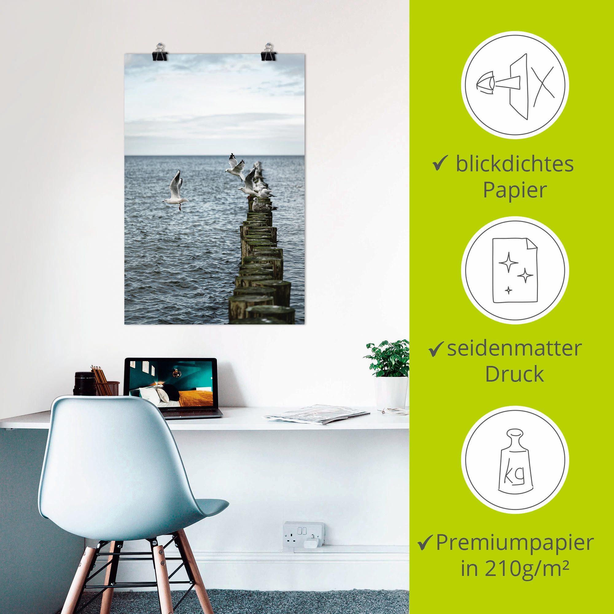 Artland Artprint Möwen starten von einer Buhnenreihe als artprint van aluminium, artprint voor buiten, poster in diverse formaten