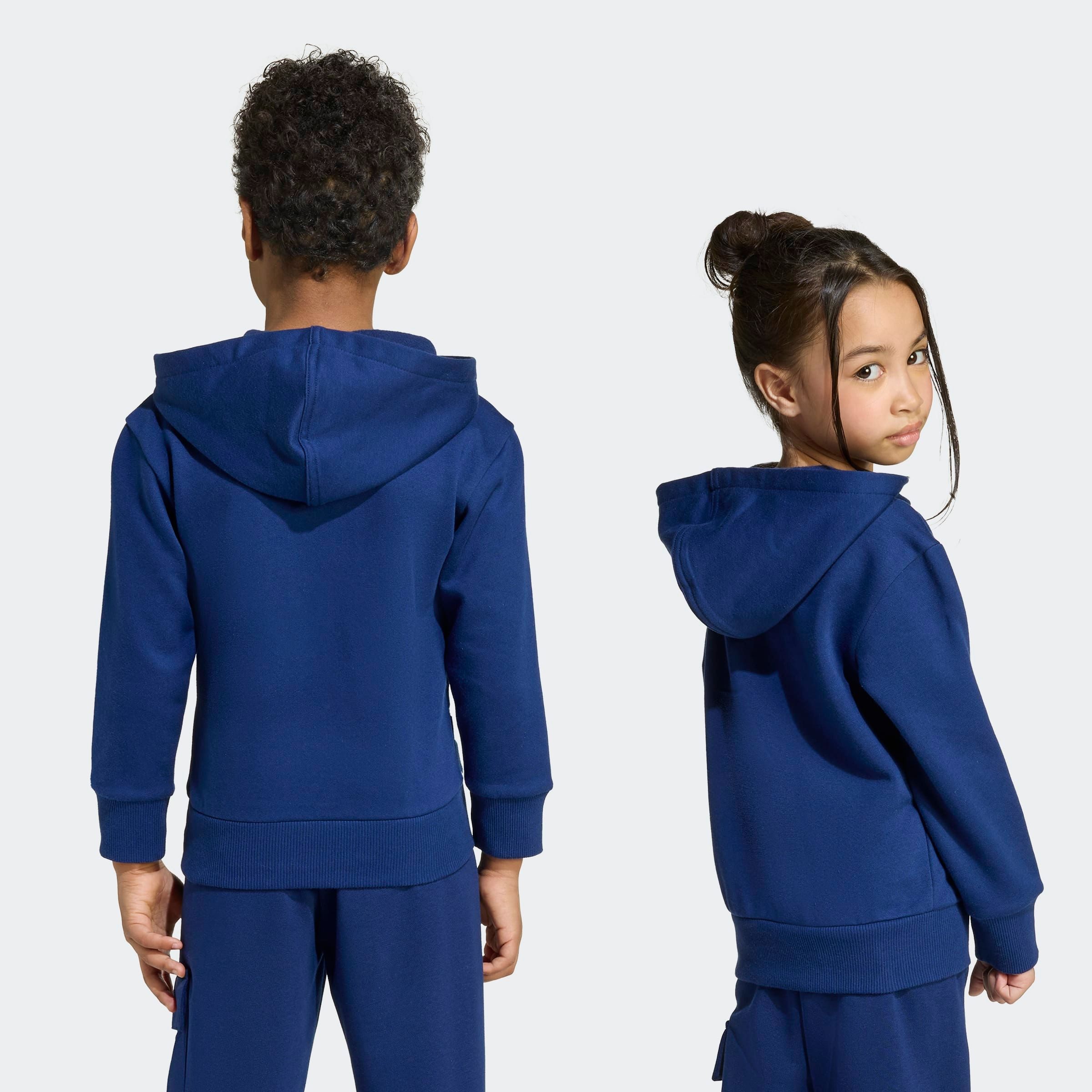 adidas Sportswear Hoodie LK SL FL HD