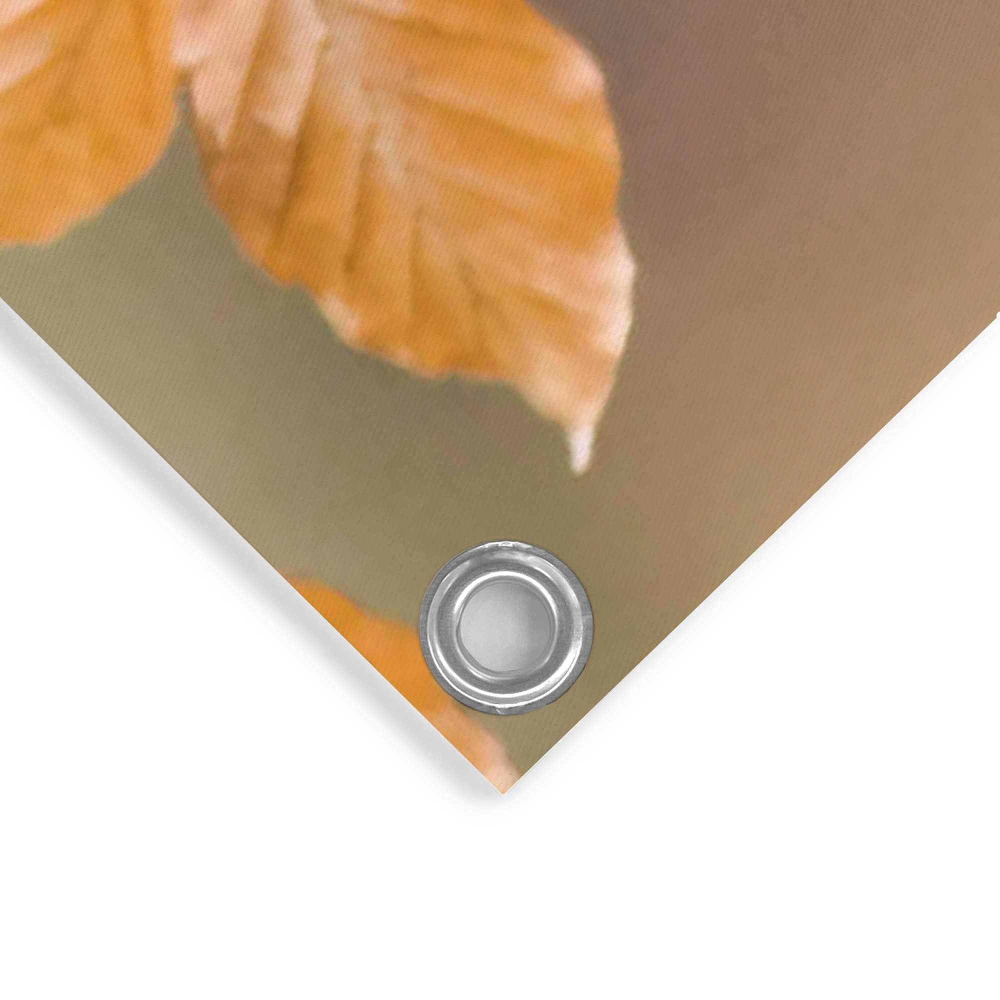 Reinders! Poster Gimpel Outdoor voor tuin of balkon