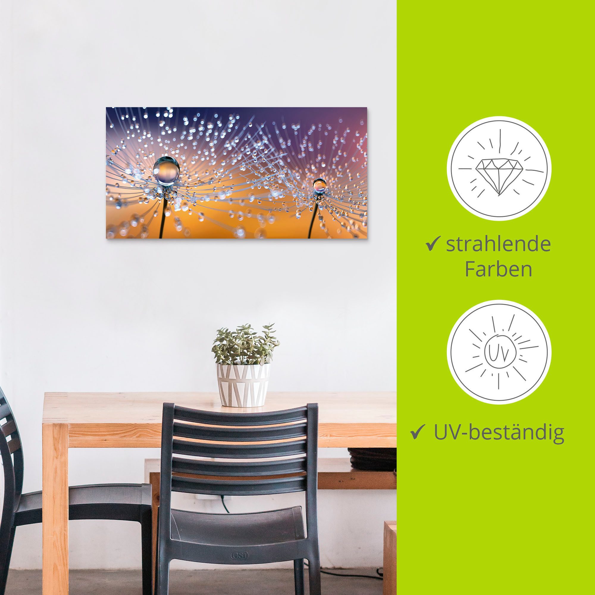 Artland Artprint Paardenbloemen dauwdruppel als artprint van aluminium, artprint voor buiten, artprint op linnen, poster, muursticker