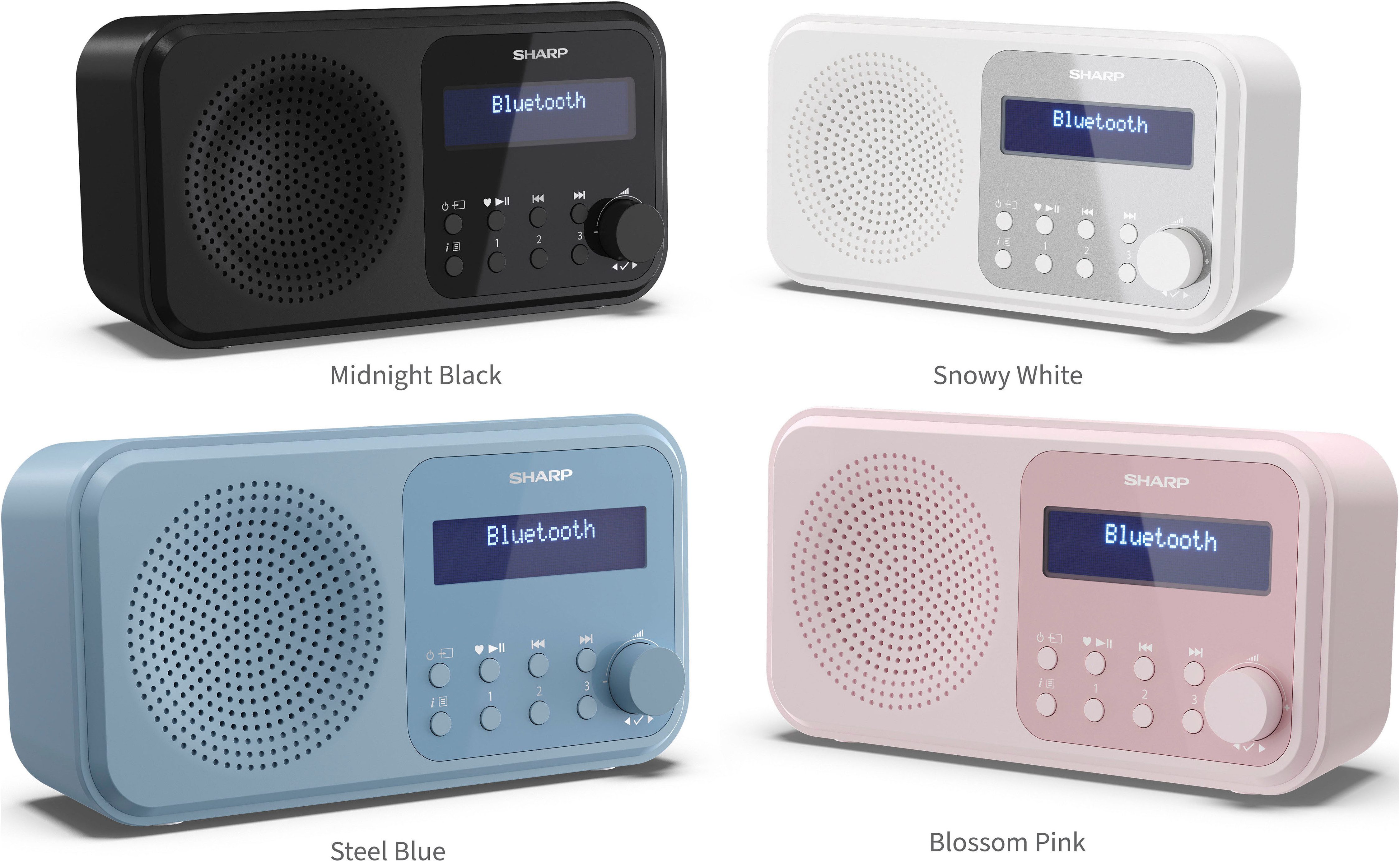Sharp Radio DR-P420