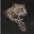 spiegelprofi gmbh olieverfschilderij leopard ieder beeld is uniek, met de hand gemaakt (1 stuk) multicolor