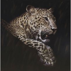 spiegelprofi gmbh olieverfschilderij leopard ieder beeld is uniek, met de hand gemaakt (1 stuk) multicolor