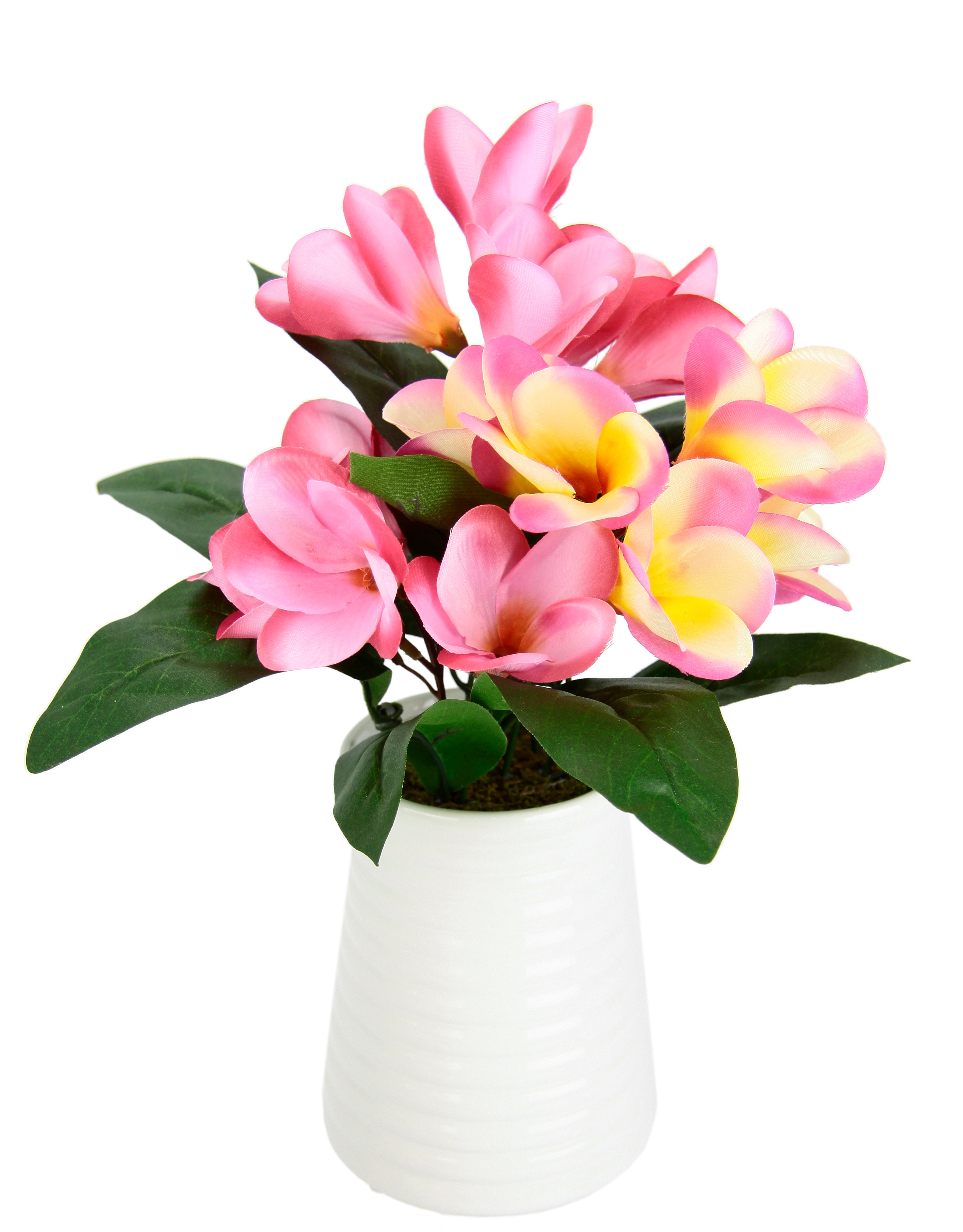 I.GE.A. Kunstbloem Frangipani in keramische vaas (1 stuk) kunstbloemen roze