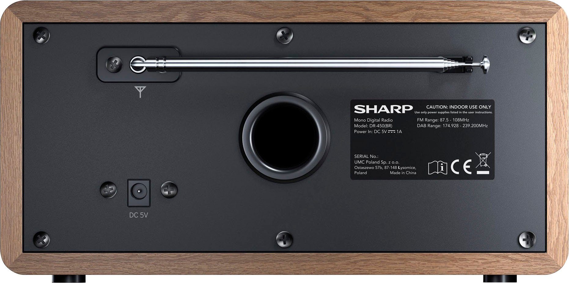 Sharp Digitale radio DAB DR-450