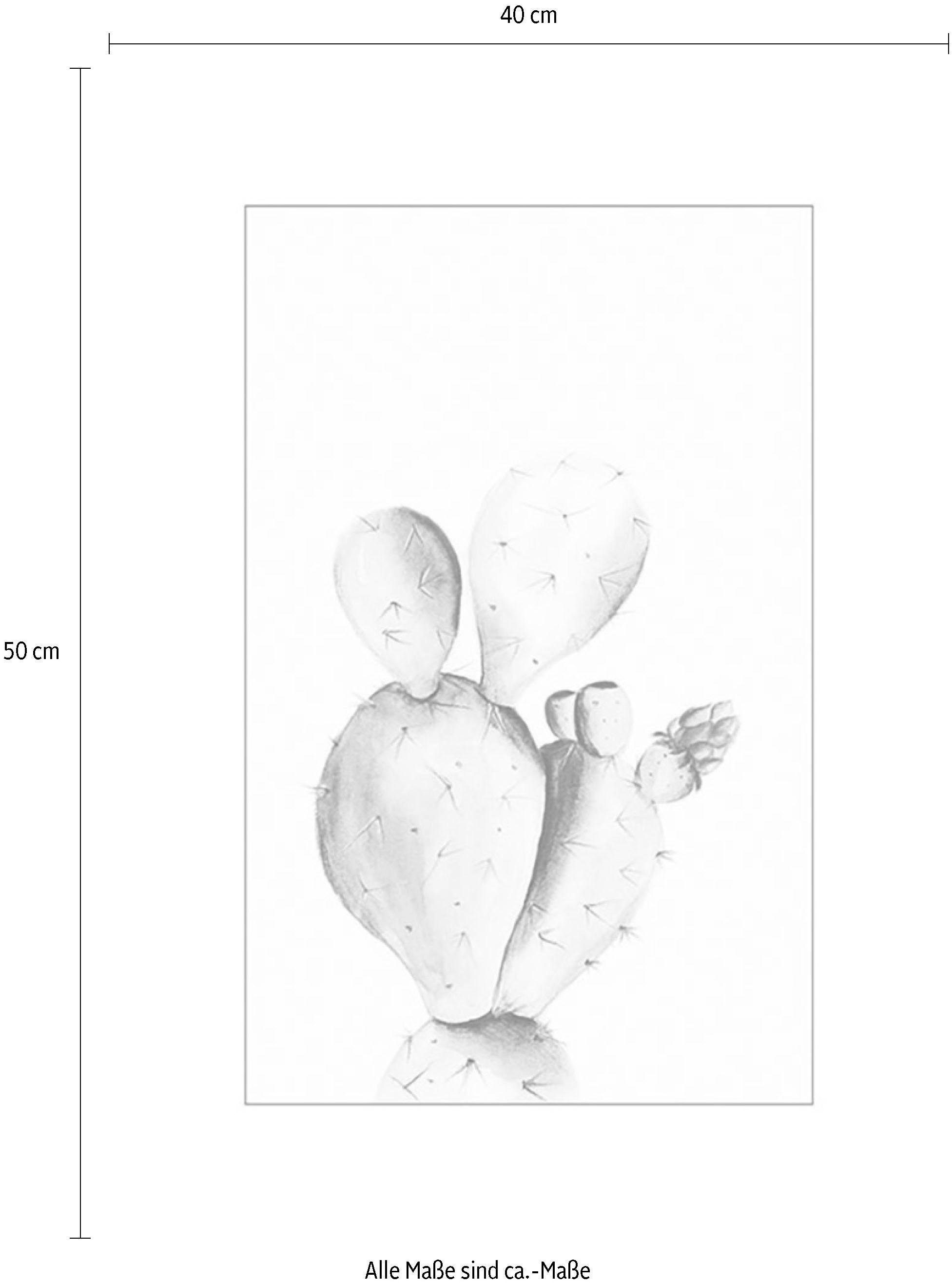 Komar Wanddecoratie Prickly Pear Watercolor Wanddecoratie - zonder lijst (1 stuk)