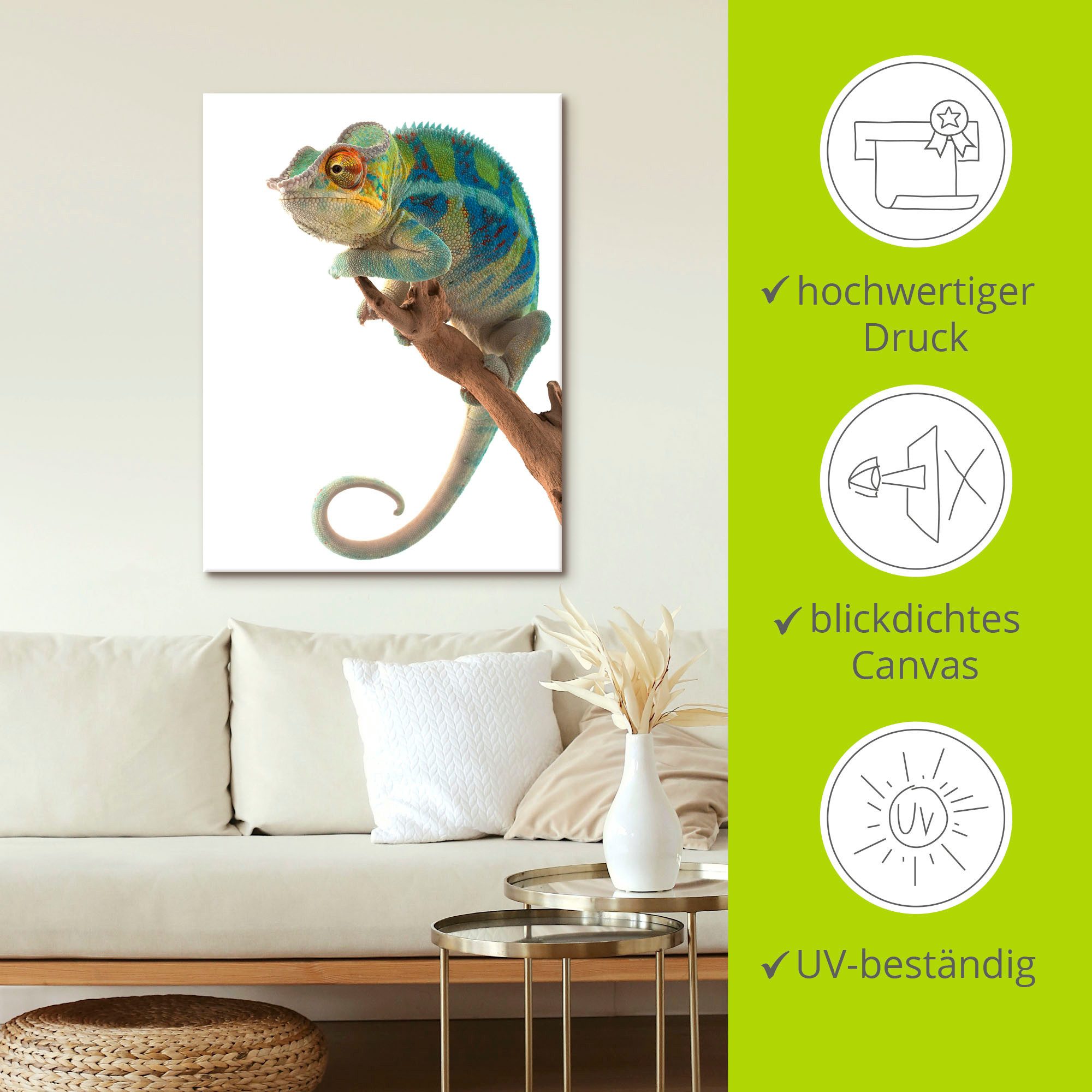 Artland Artprint Ambanja panter kameleon als artprint op linnen, poster in verschillende formaten maten