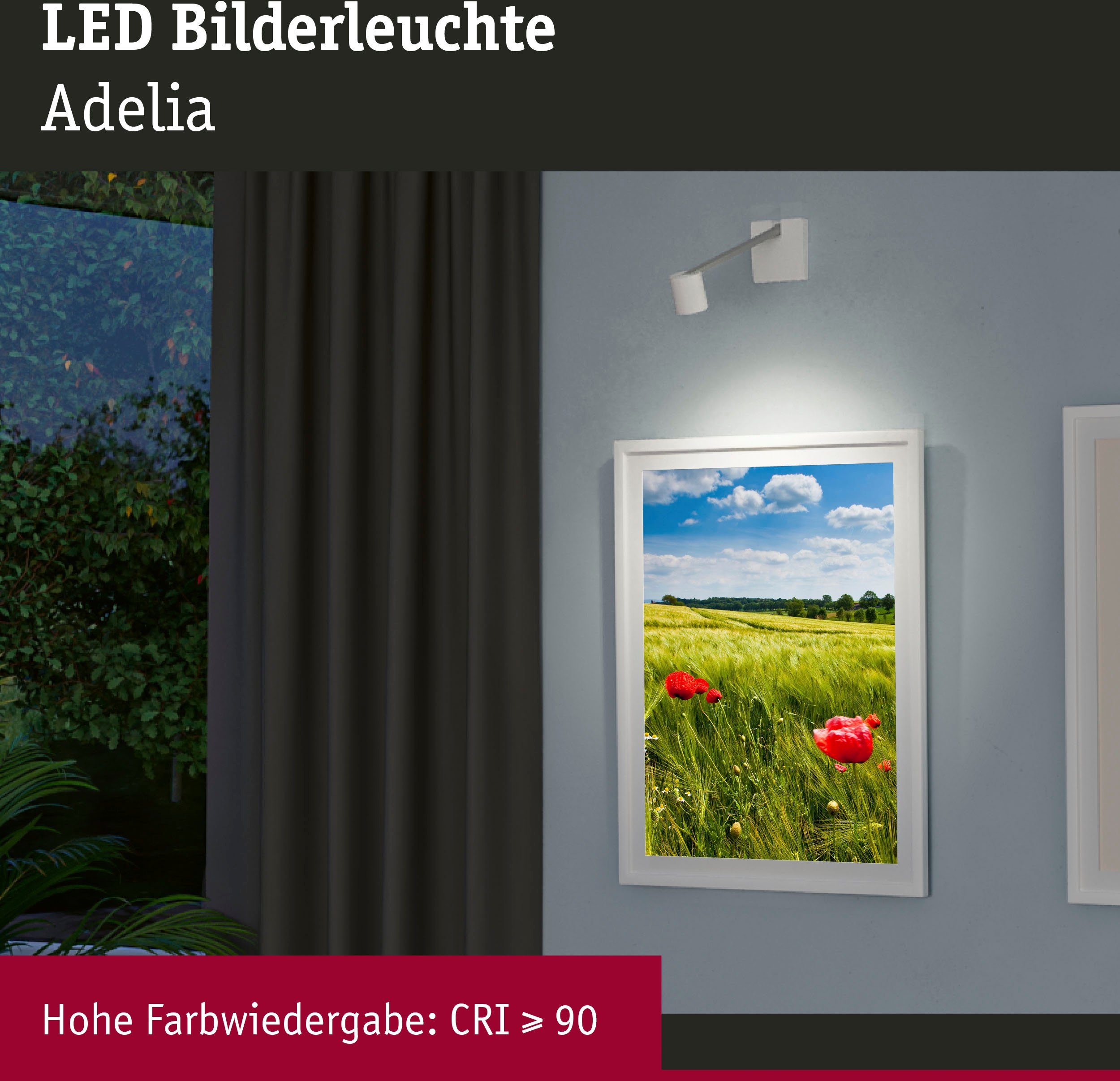 Paulmann Led-schilderijlampje Adelia dimbaar (1 stuk)