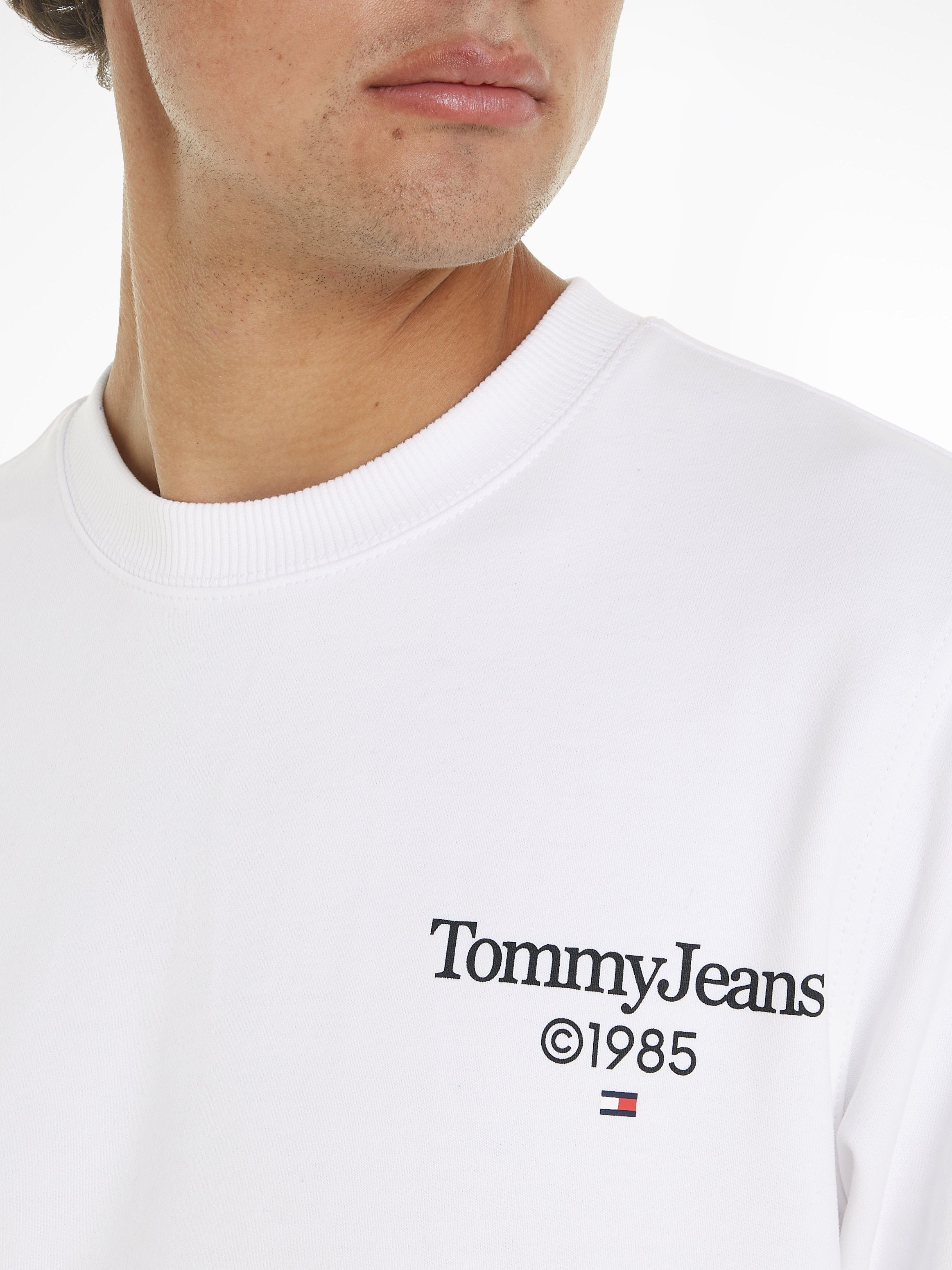 TOMMY JEANS Sweatshirt TJM REG ENTRY GRAPHIC CREW