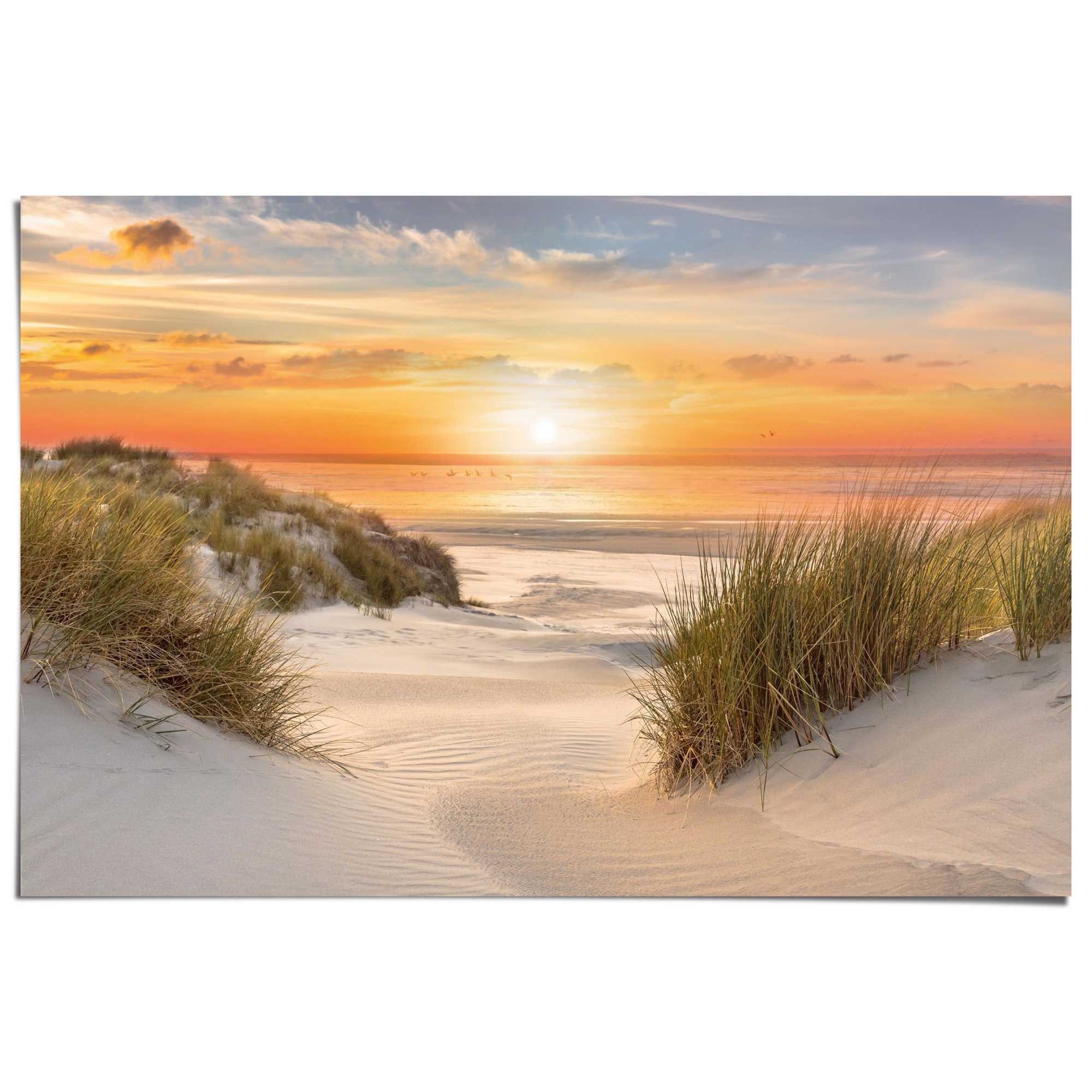 Reinders! Poster Beautiful Dunes
