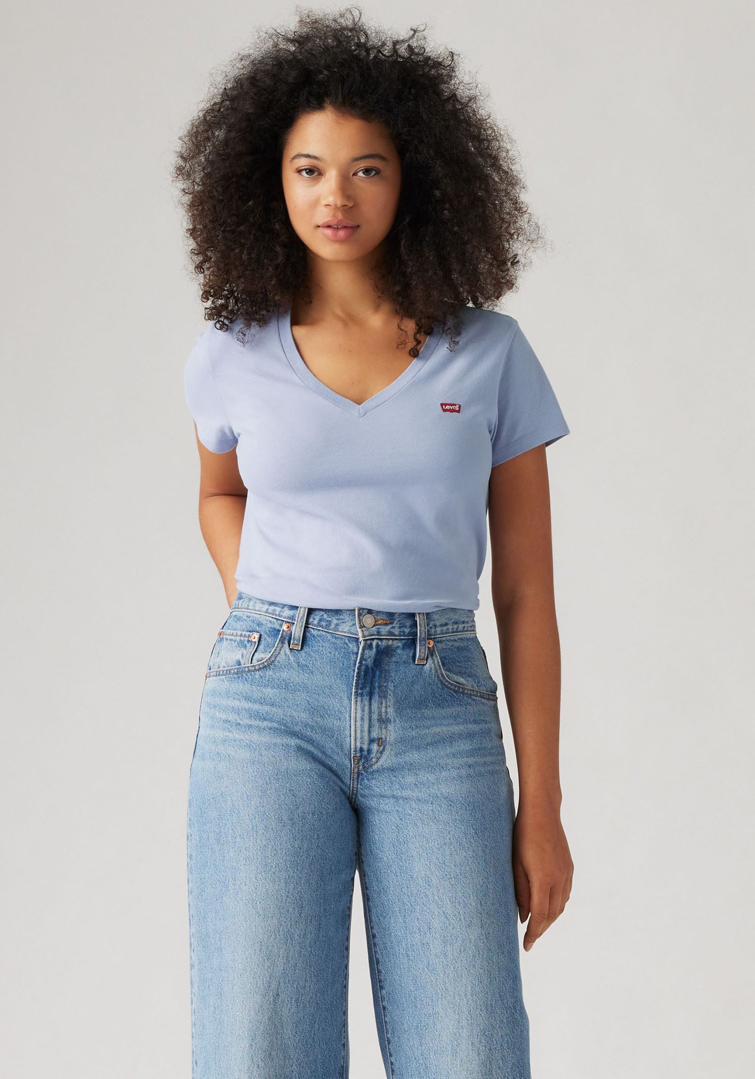 Levi's® T-shirt VNECK TEE 2 PACK (set, 2-delig)