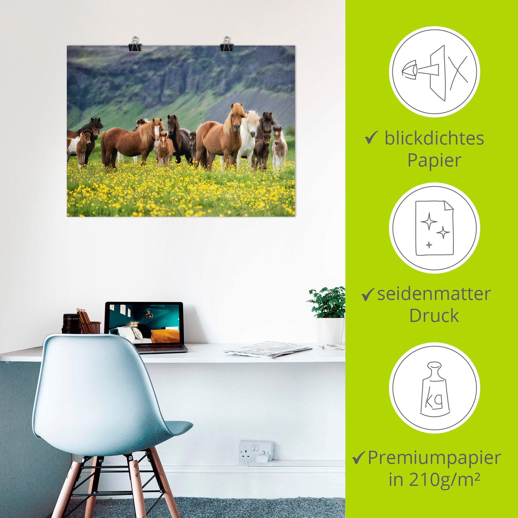 Artland Artprint IJslandse paarden VII als artprint op linnen, poster, muursticker in verschillende maten