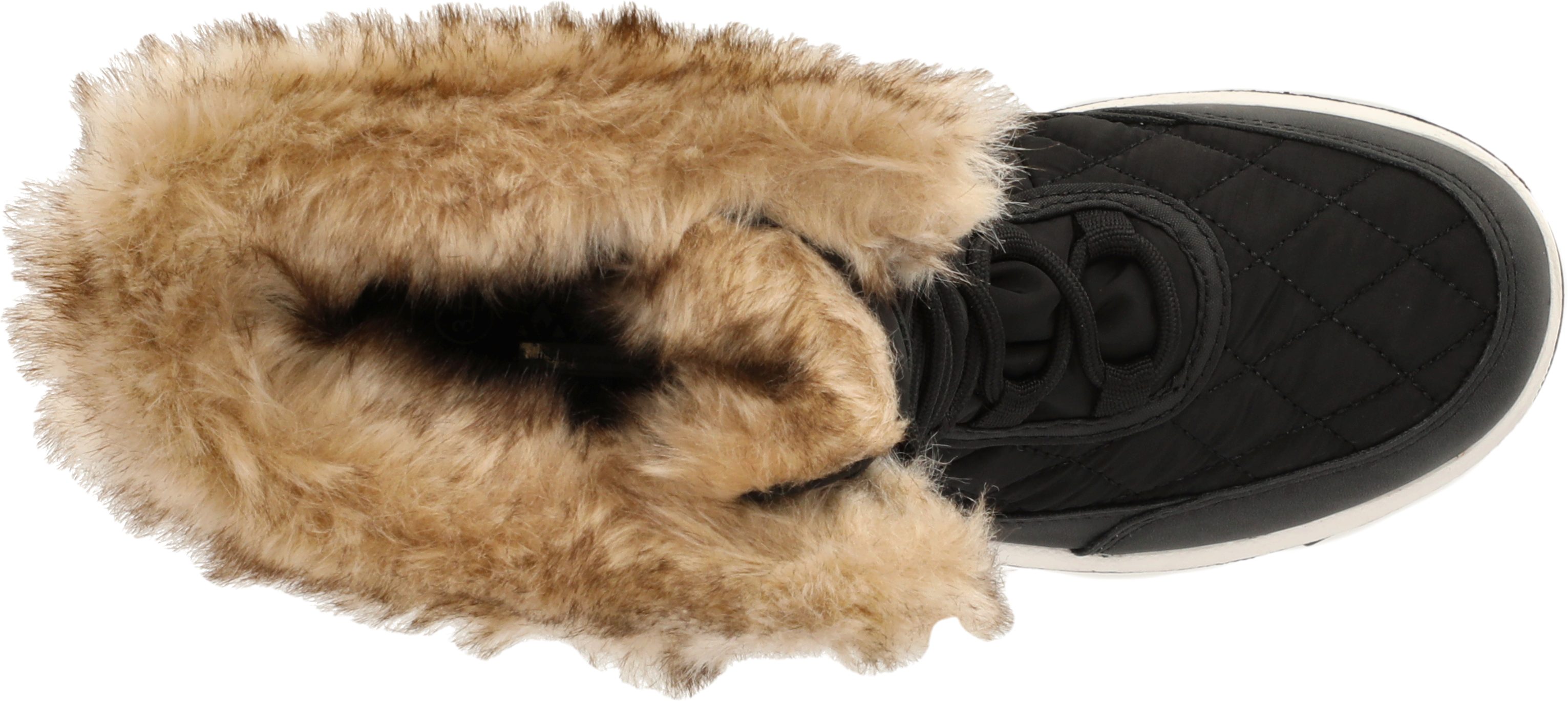 WHISTLER Winterlaarzen Eewye W Boot WP V2