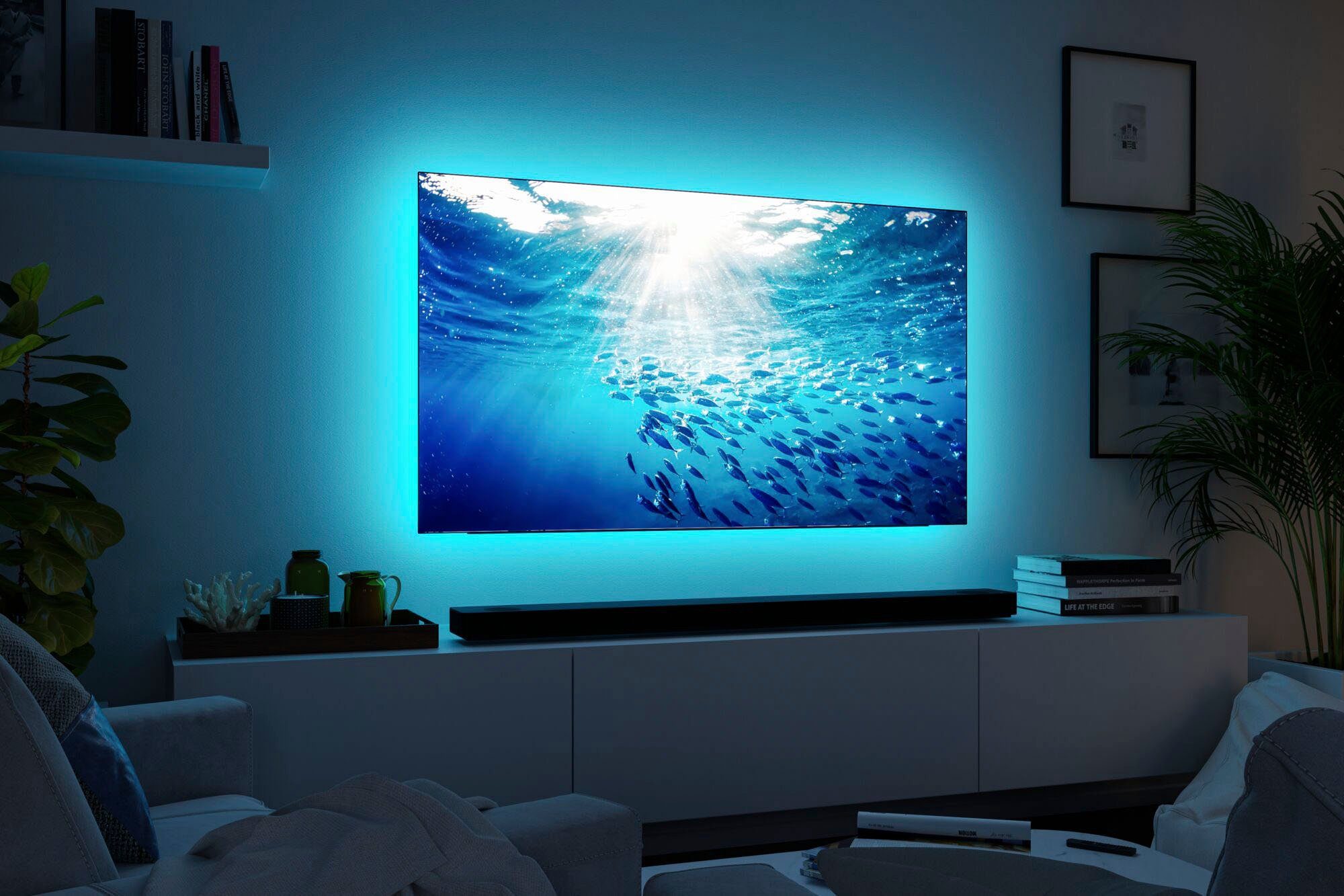 Paulmann Led-strepen MaxLED 250 TV Comfort Basisset 65 Inch 4,3m Dynamisch RGB 22W 234lm/m (1 stuk)