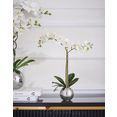 guido maria kretschmer homeliving kunstorchidee voguish kunstplant, in een pot van keramiek wit