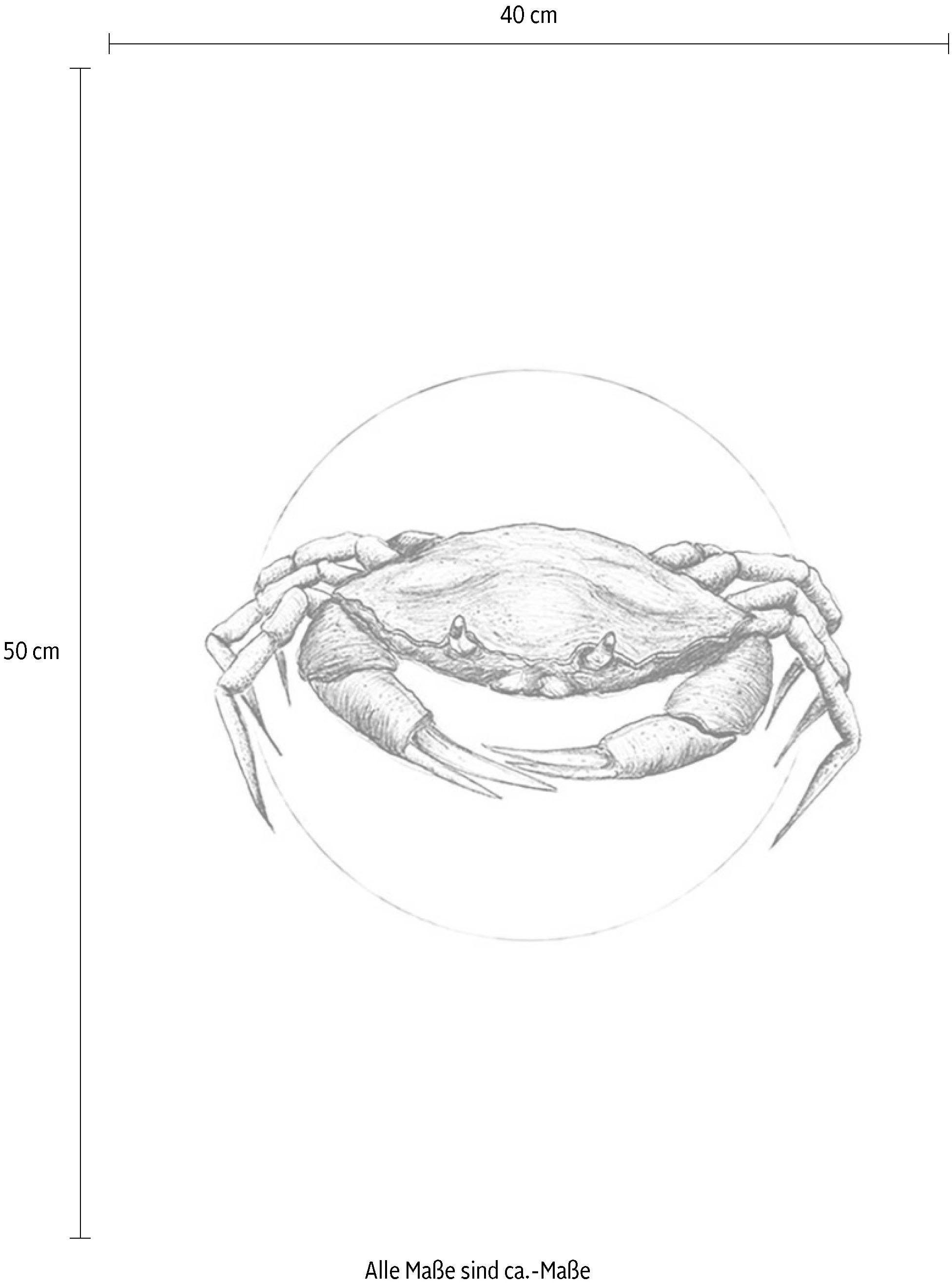 Komar Wanddecoratie Crab white Wanddecoratie - zonder lijst (1 stuk)