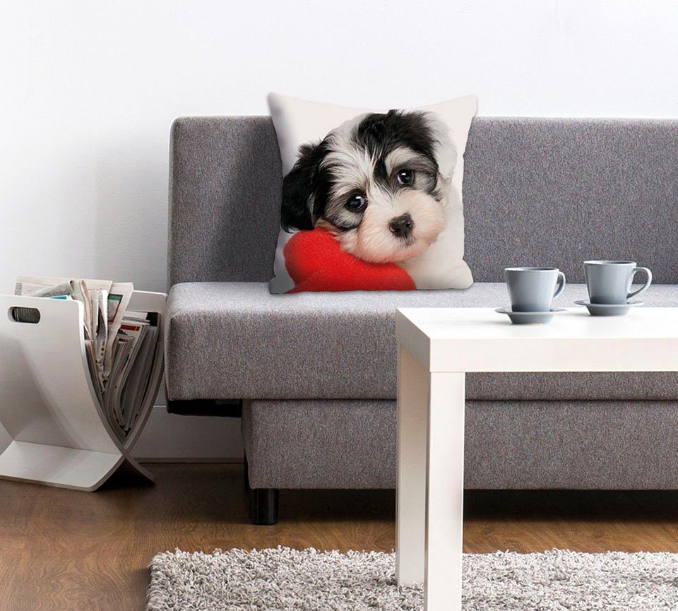 queence Sierkussen Vanessa Kussenhoes, schattige kleine hond, schattig, dierenmotief, charmant, vriendelijk (1 stuk) sierkussens wit