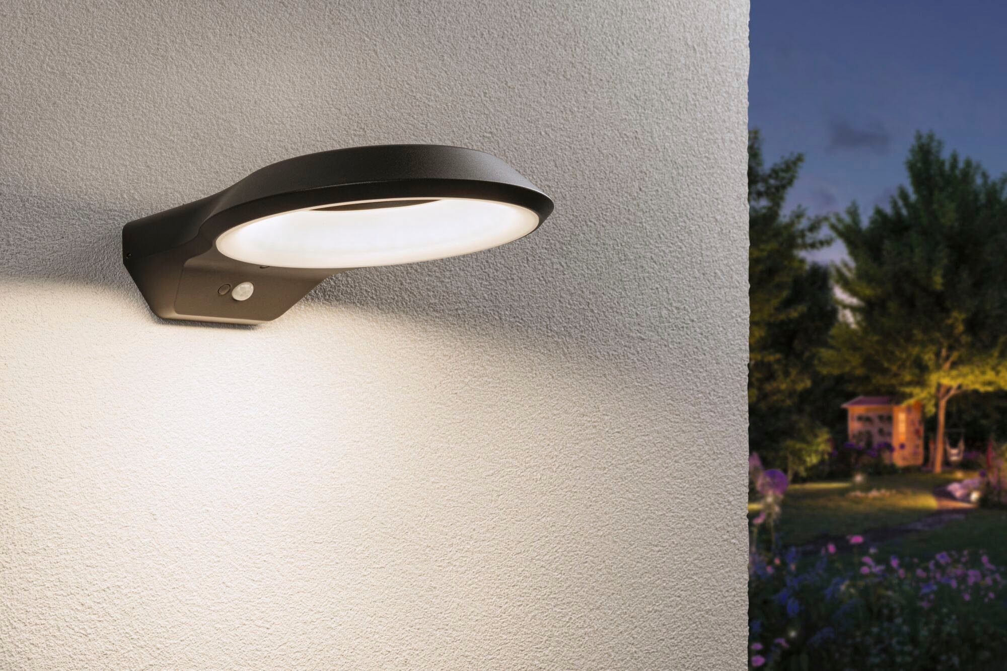 Paulmann Led-wandlamp voor buiten Anela 230V insectvriendelijk