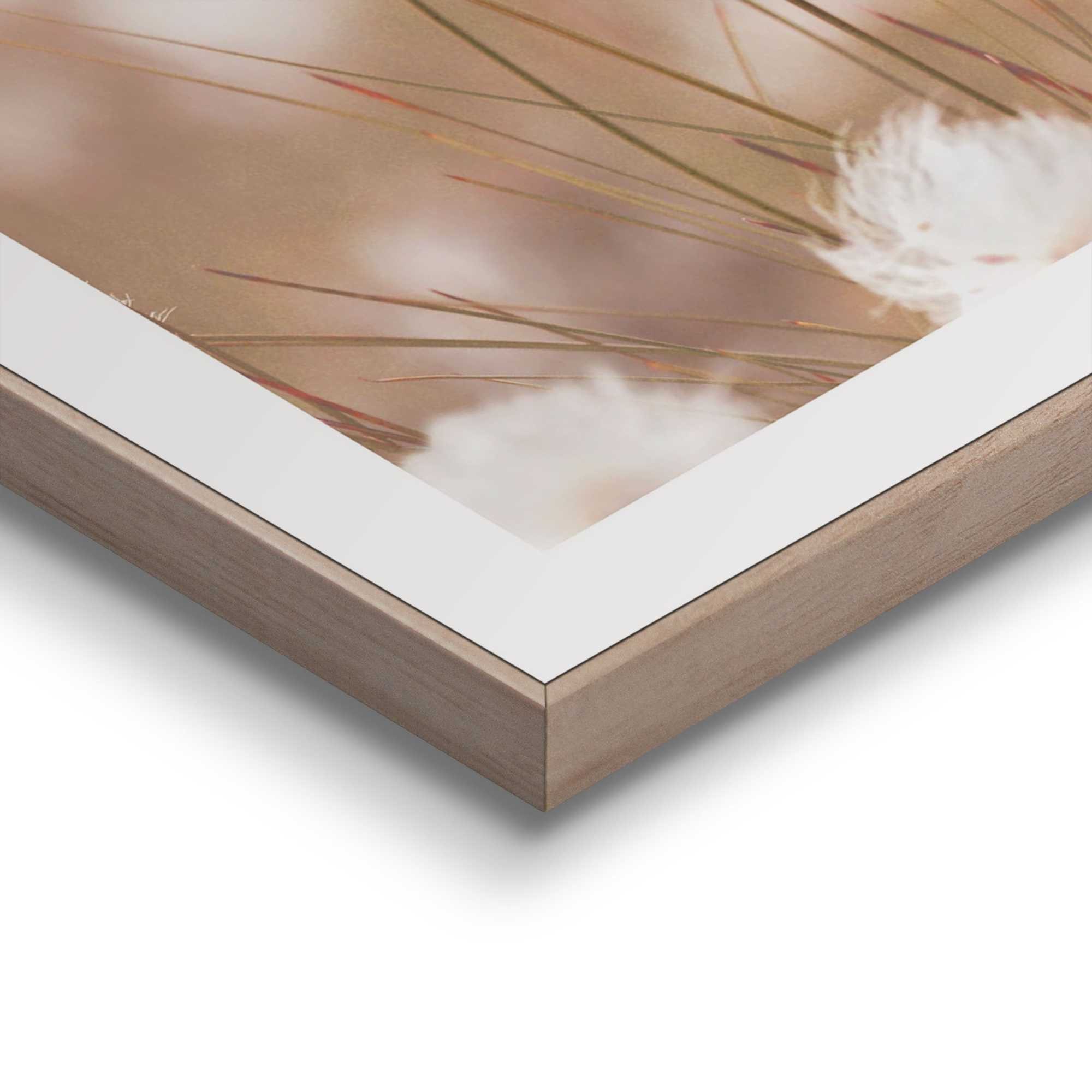 Reinders! Artprint met lijst Cotton Pops