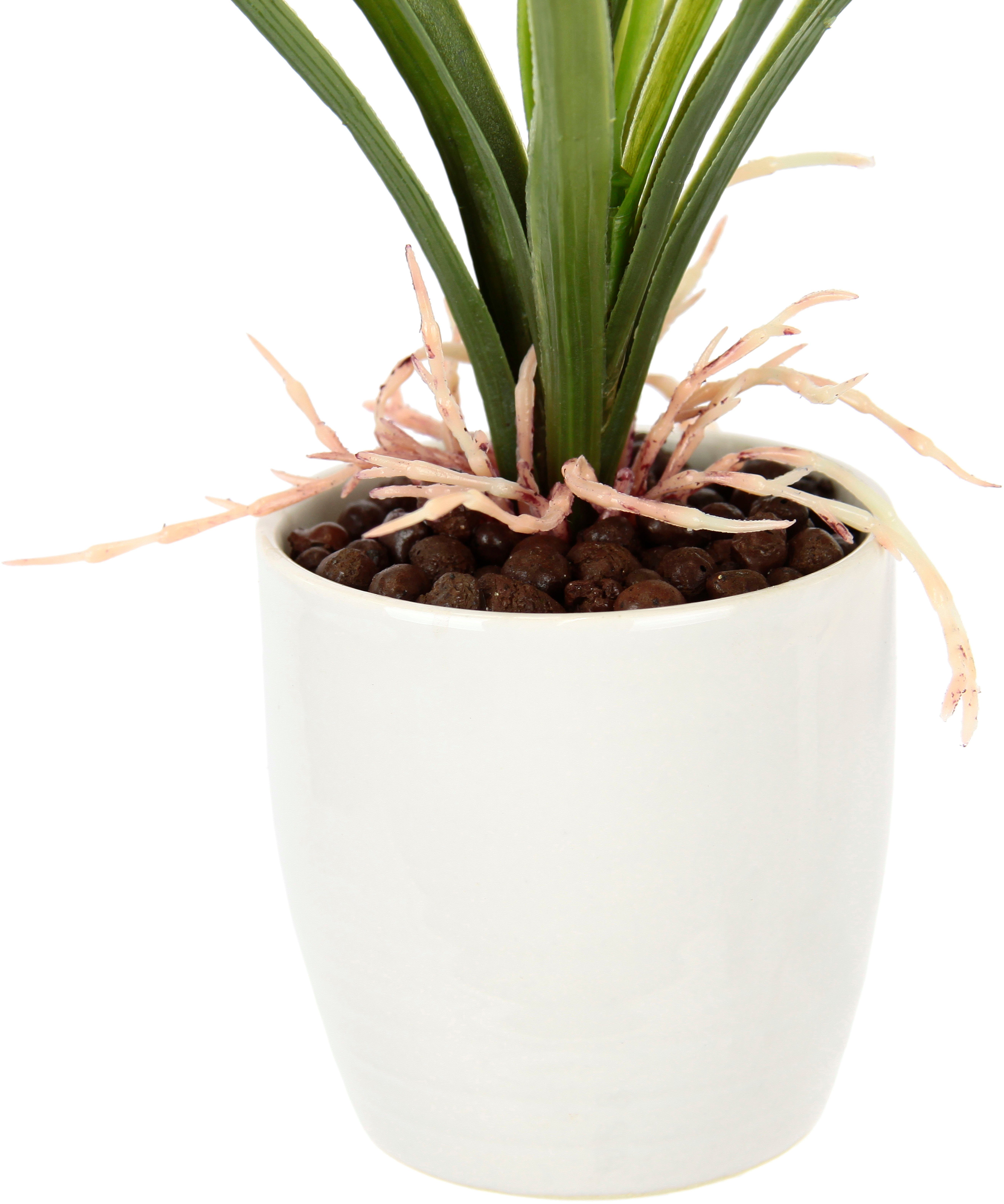 I.GE.A. Kunstbloem Orchidee Met bladeren in pot van keramiek, kunstbloem Cymbidium-orchidee (1 stuk)