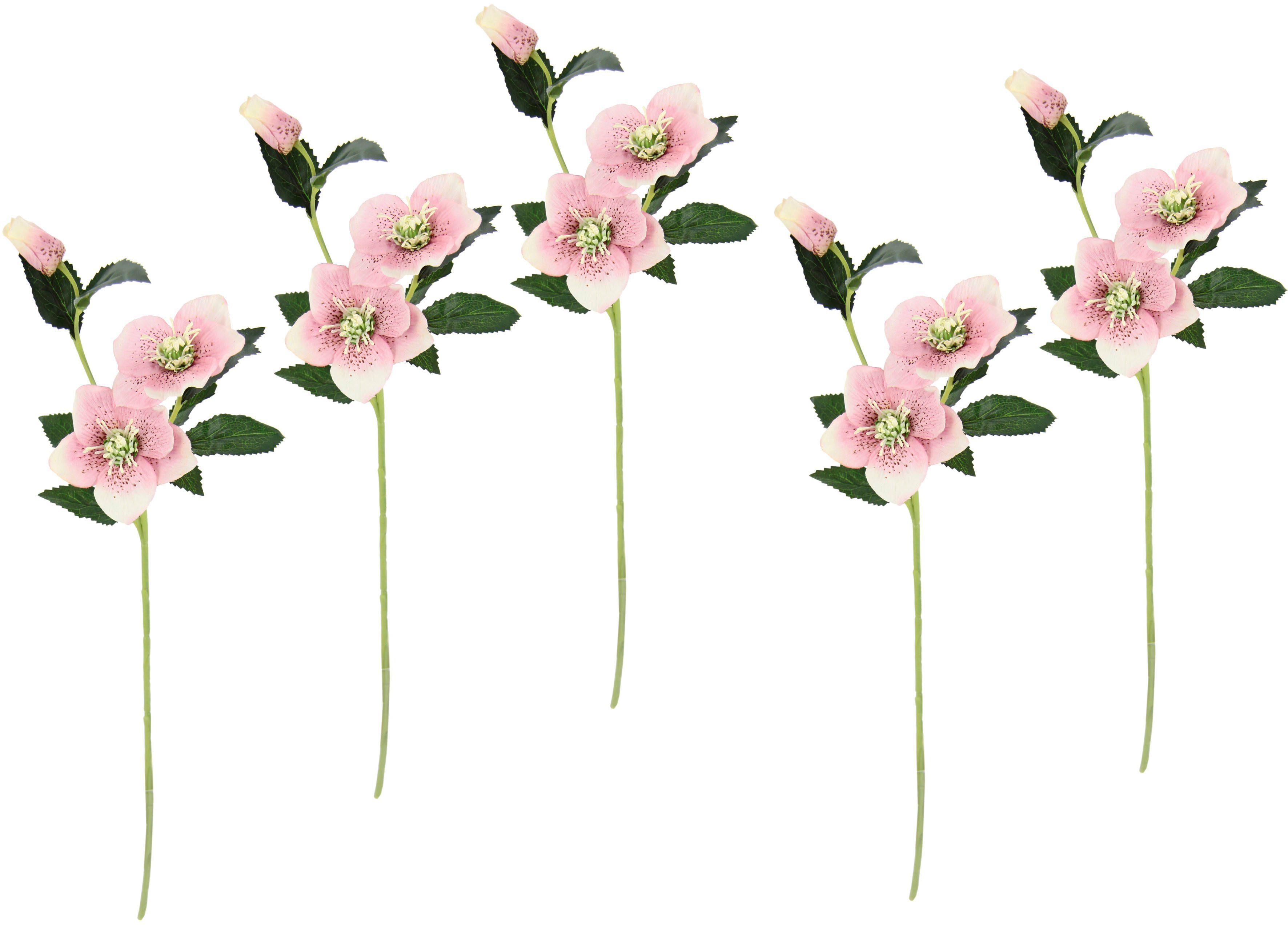 I.GE.A. Kunstbloem Kerstroos Kunstmatige zijden bloemen, 5-delige set (5 stuks)