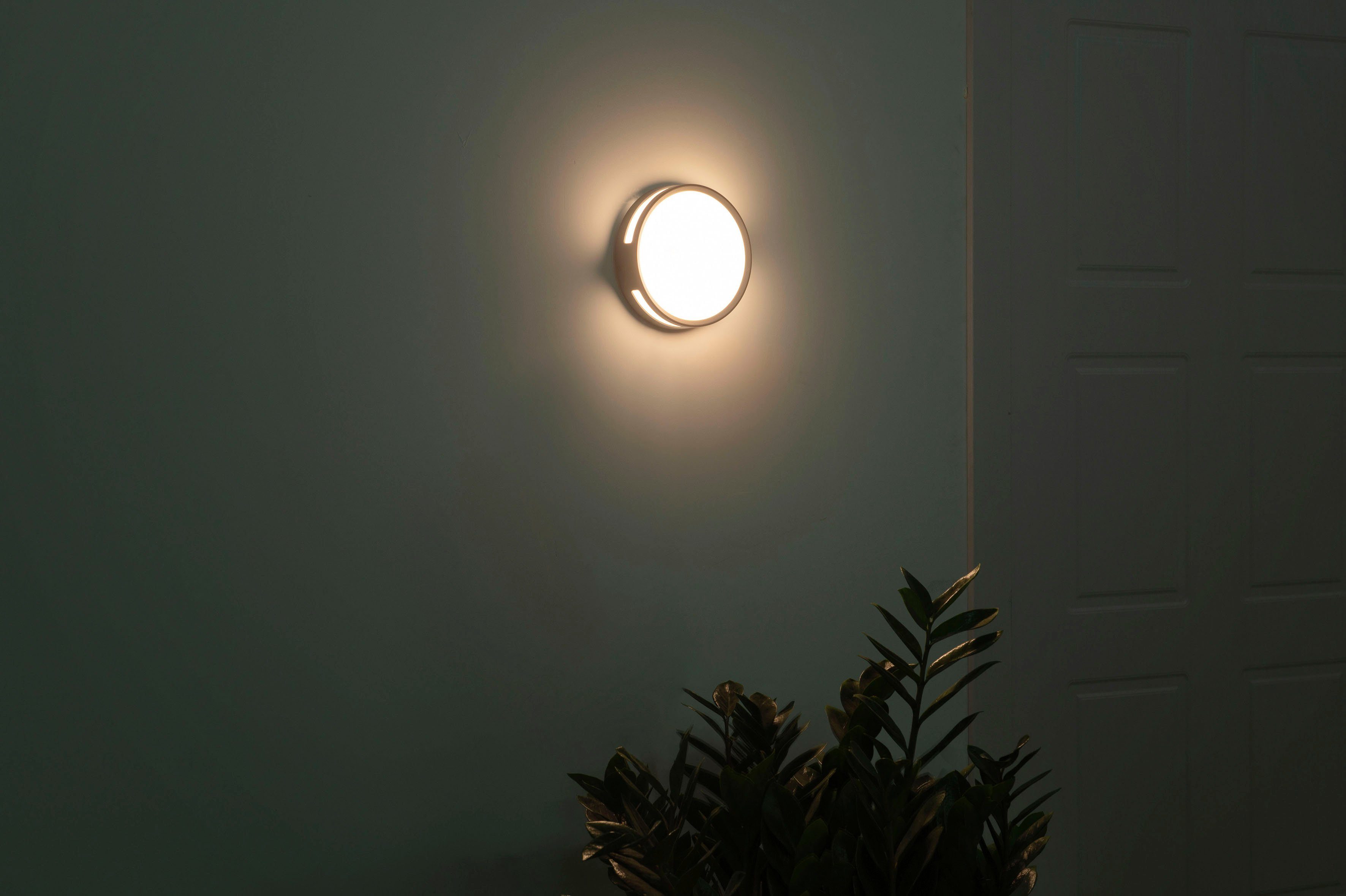 LUTEC Ledwandlamp voor buiten ROLA (1 stuk)