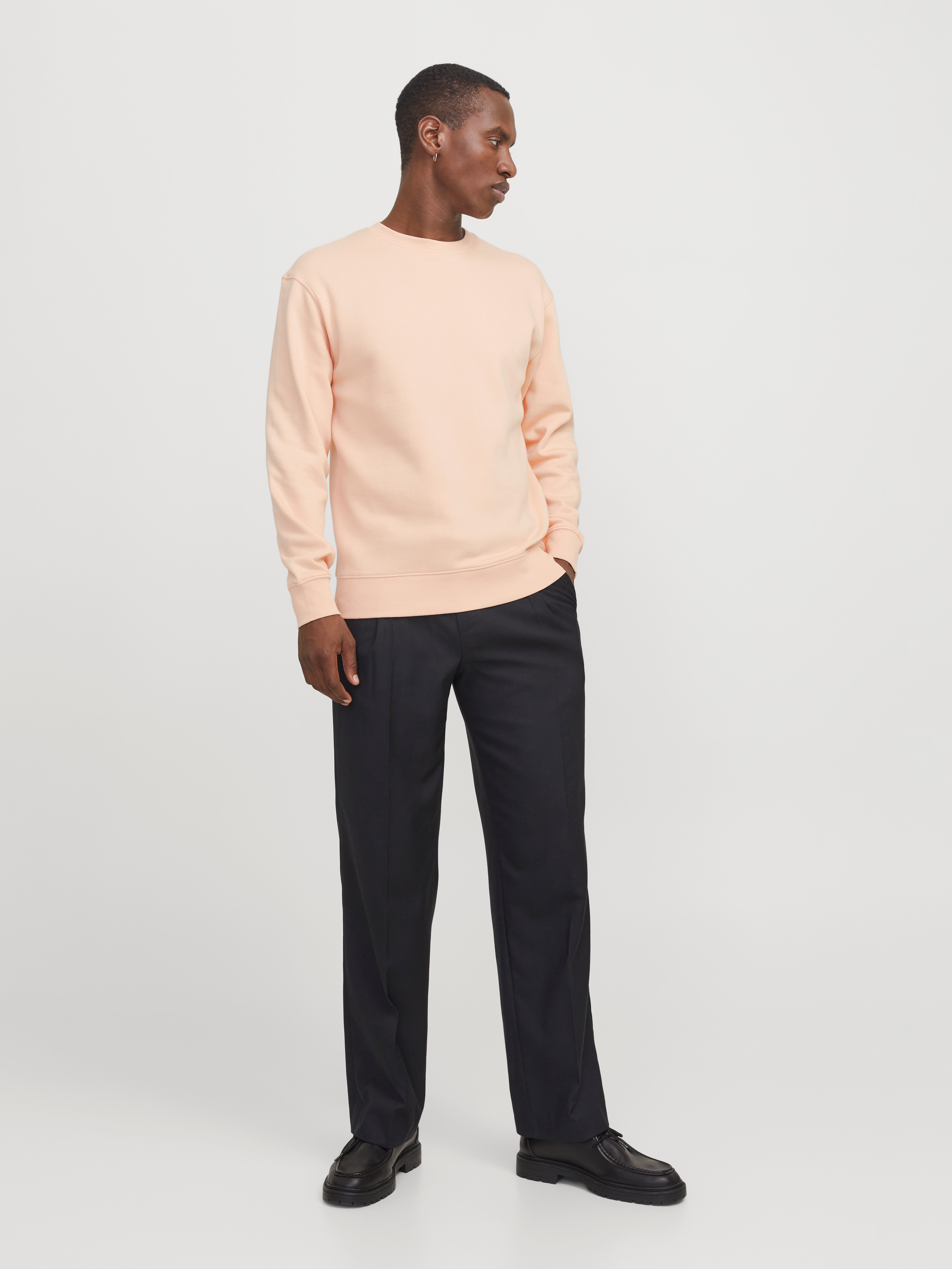 Jack & Jones Sweatshirt JJESTAR BASIC SWEAT CREW NECK NOOS