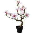 creativ green kunstplant magnoliaboom in een plastic pot roze
