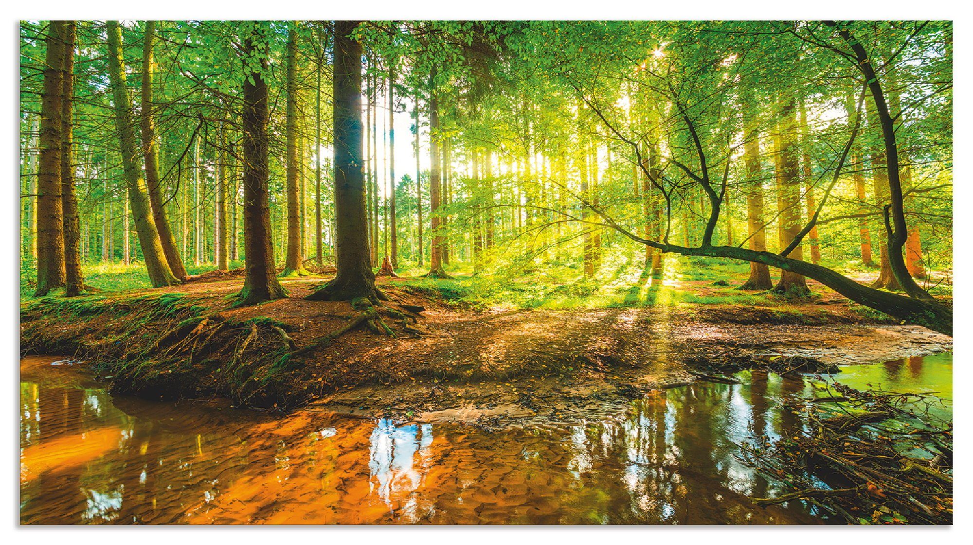 Artland Keukenwand Bos met beek zelfklevend in vele maten - spatscherm keuken achter kookplaat en spoelbak als wandbescherming tegen vet, water en vuil - achterwand, wandbekleding