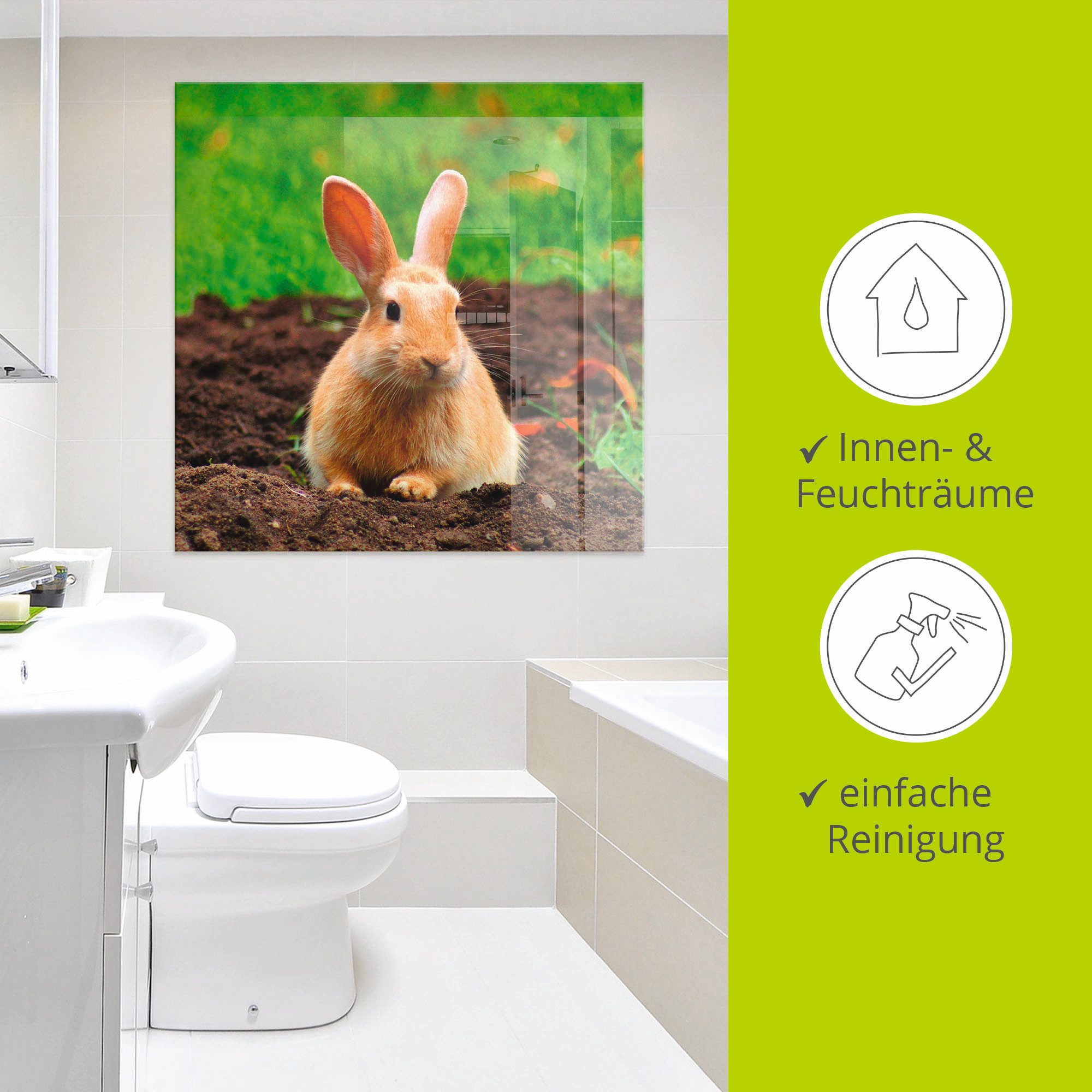 Artland Print op glas Gelukkig dwergkonijntje