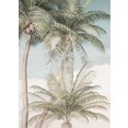 komar fotobehang palm oasis (set) multicolor