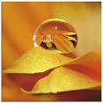 artland print op glas waterdruppels ii (1 stuk) oranje