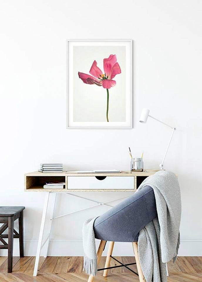 Komar Wanddecoratie TULIP Wanddecoratie - zonder lijst (1 stuk)