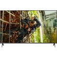 panasonic led-tv tx-49hxw904, 123 cm - 49 ", 4k ultra hd, smart-tv zwart
