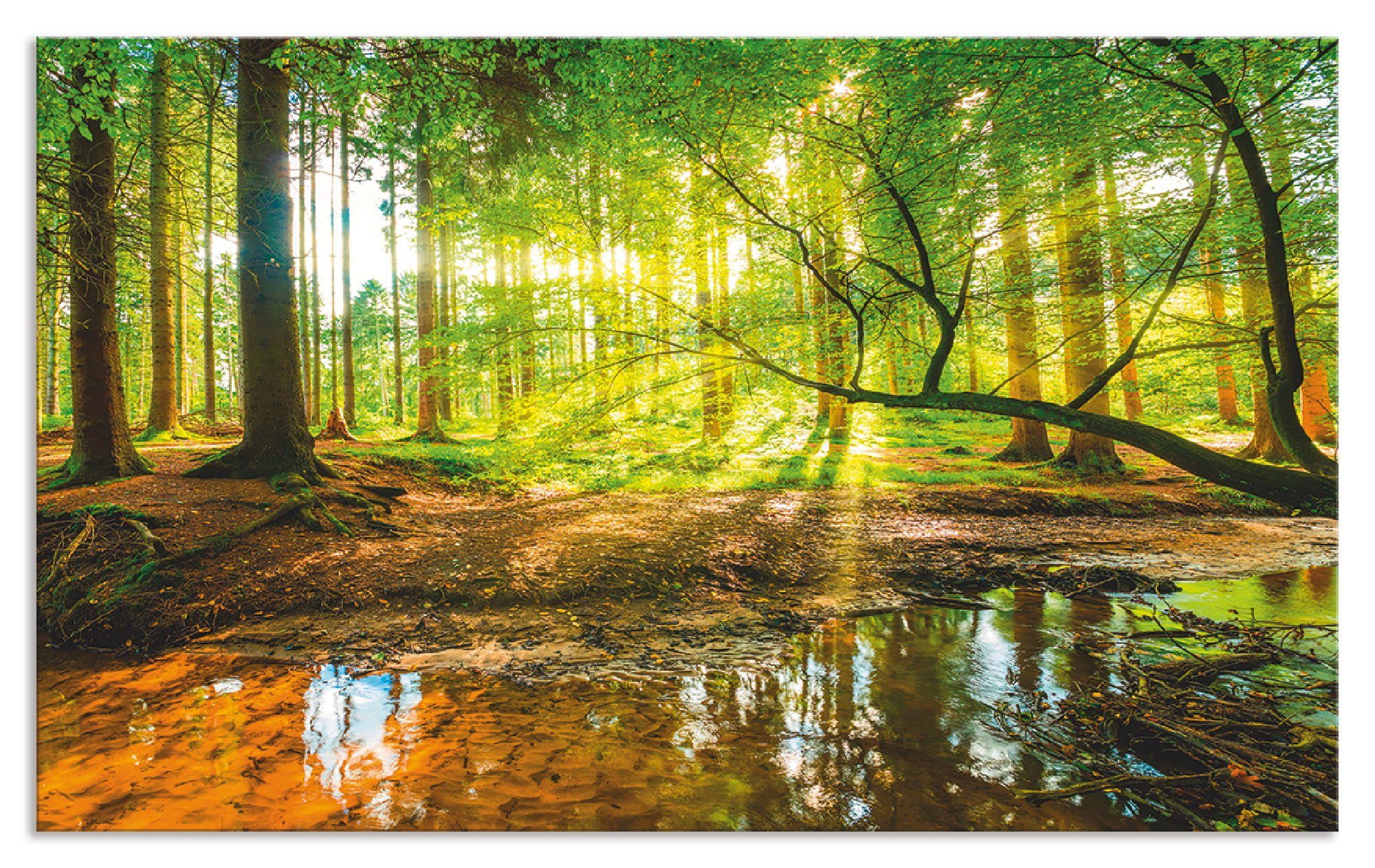 Artland Keukenwand Bos met beek zelfklevend in vele maten - spatscherm keuken achter kookplaat en spoelbak als wandbescherming tegen vet, water en vuil - achterwand, wandbekleding