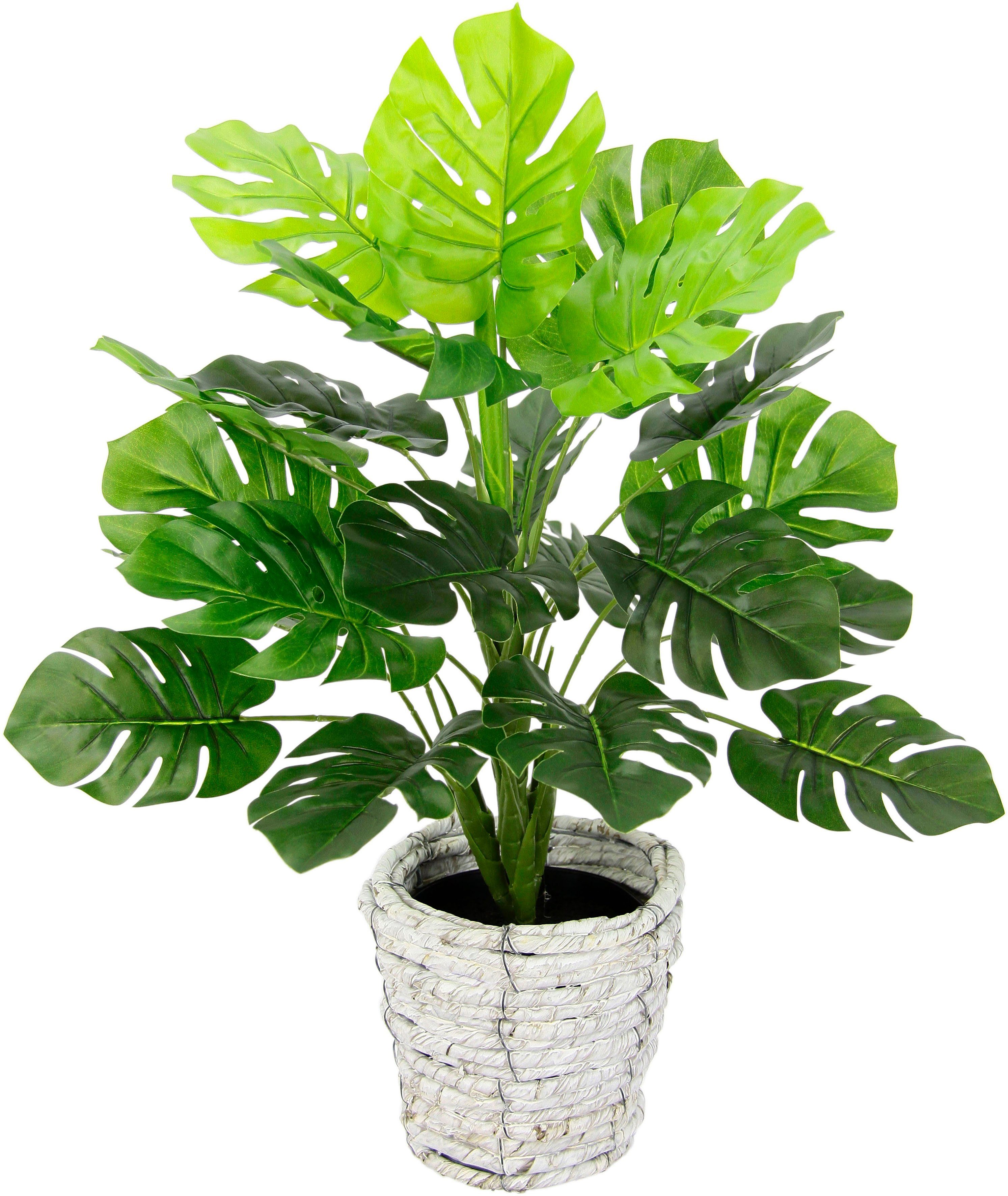 I.GE.A. Kunstplant Monstera