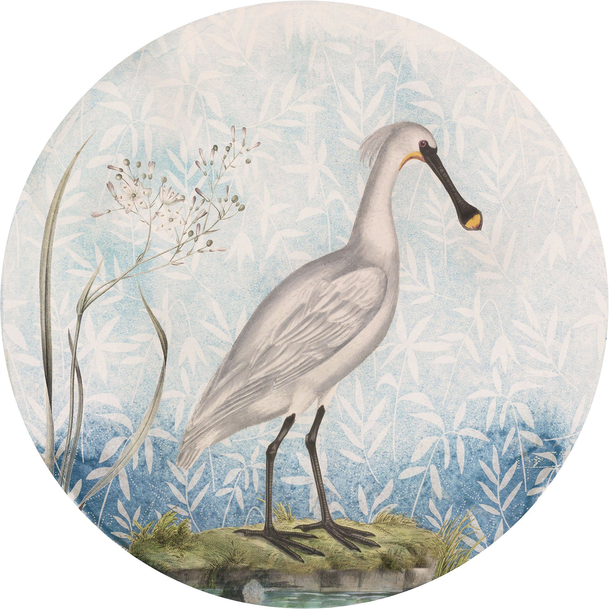 komar fotobehang spoonbill 125 x 125 cm (breedte x hoogte), rond en zelfklevend (1 stuk) multicolor