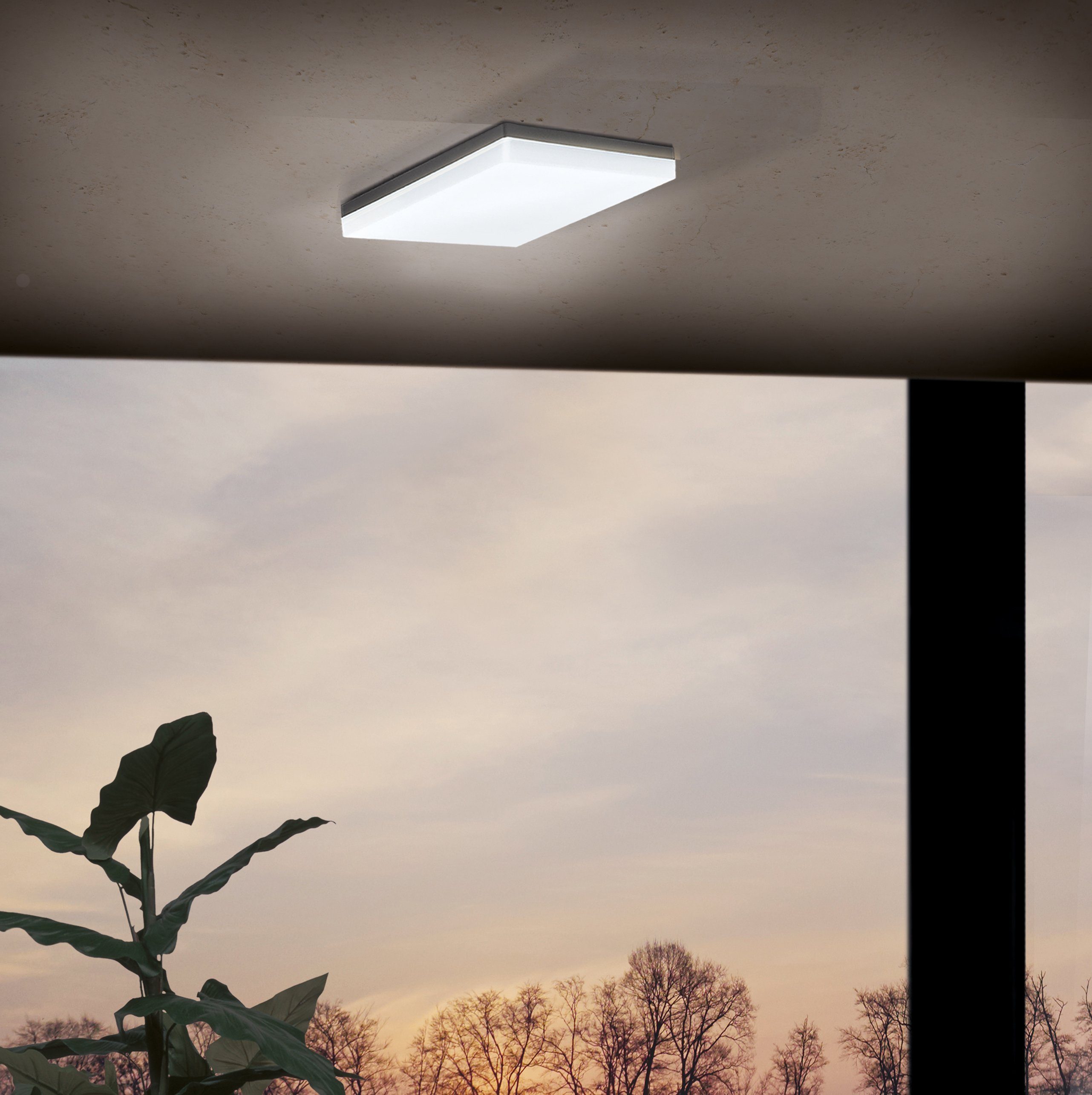 EGLO Ledplafondlamp voor buiten SONELLA Led verwisselbaar