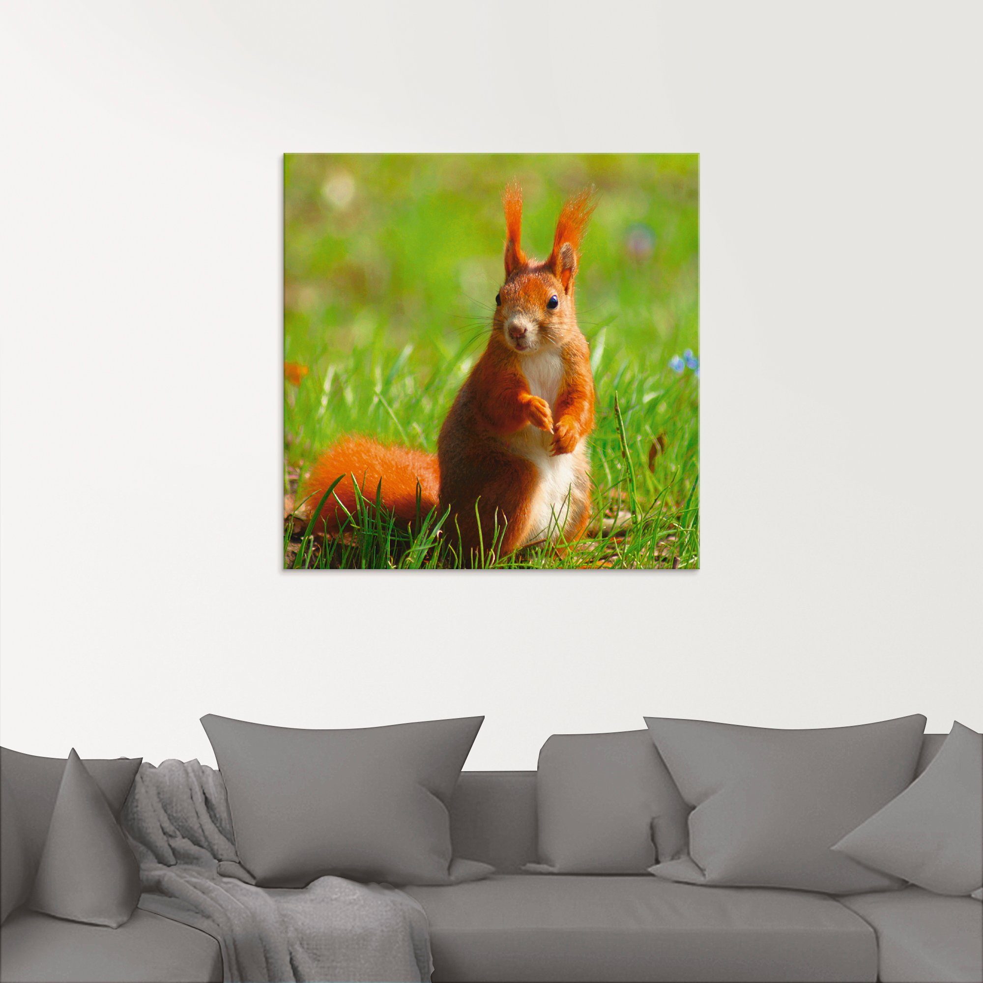 Artland Print op glas Eekhoorntje contact in verschillende maten