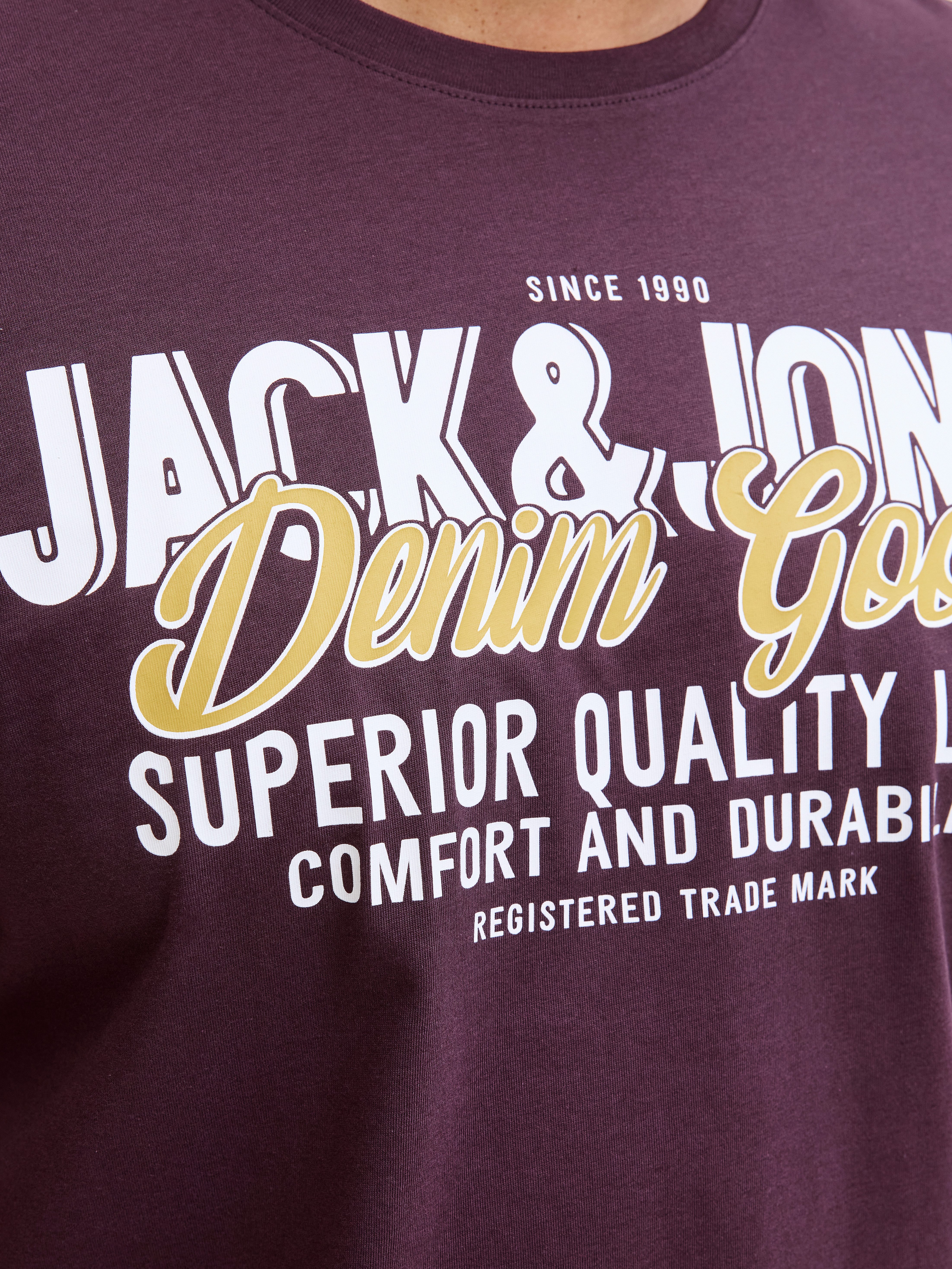 Jack & Jones PlusSize T-shirt JJELOGO TEE SS ONECK 2 COL AW25 NOOS PLS