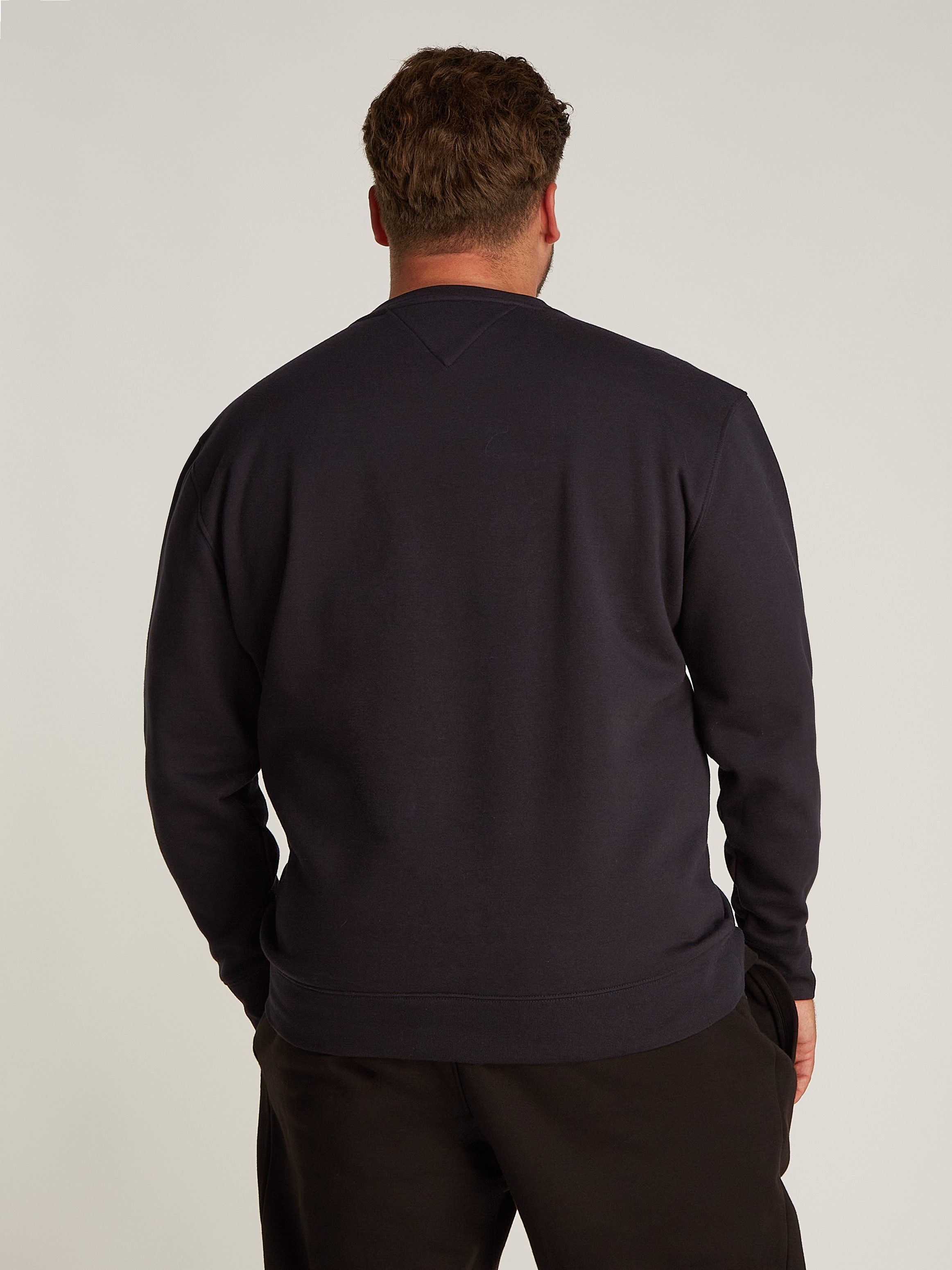 Tommy Hilfiger Sweatshirt BT-HILFIGER STRIPE SWEATSHIRT-B in grote maten, print in het midden van de borst
