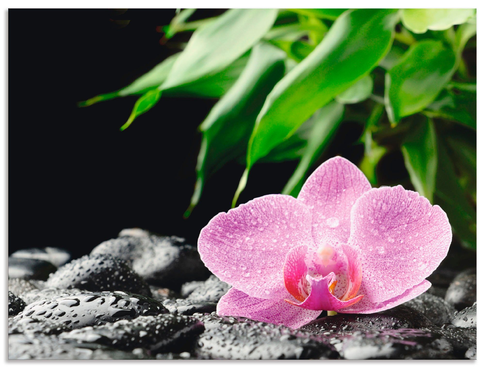 Artland Artprint Roze orchidee op zwarte zen stenen in vele afmetingen & productsoorten - artprint van aluminium / artprint voor buiten, artprint op linnen, poster, muursticker / w