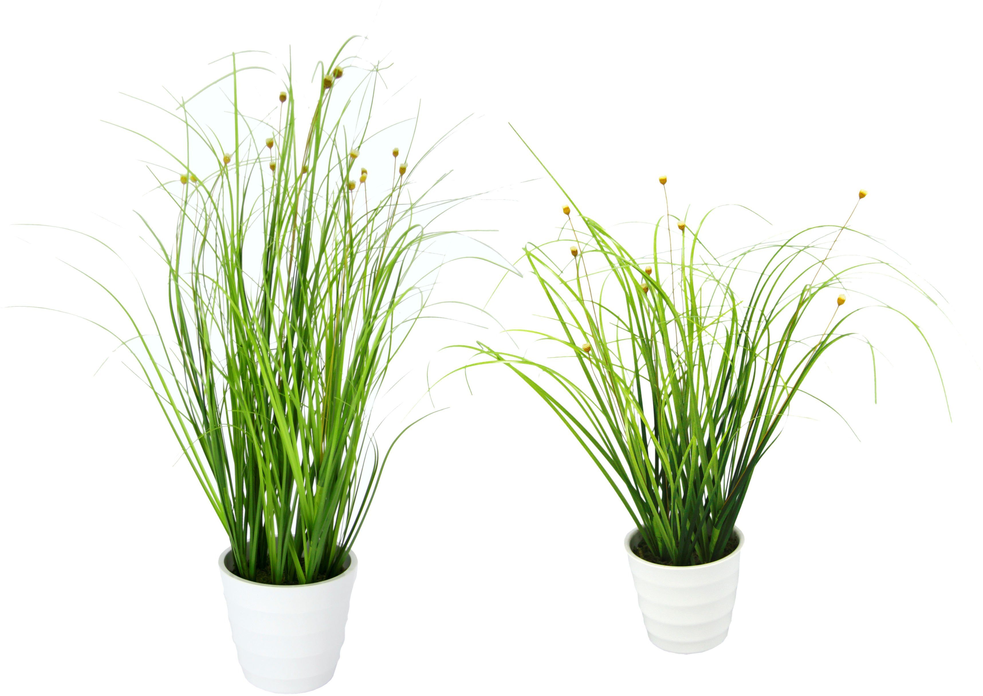 I.GE.A. Kunstplant Grasmix (2 stuks) kunstplanten groen