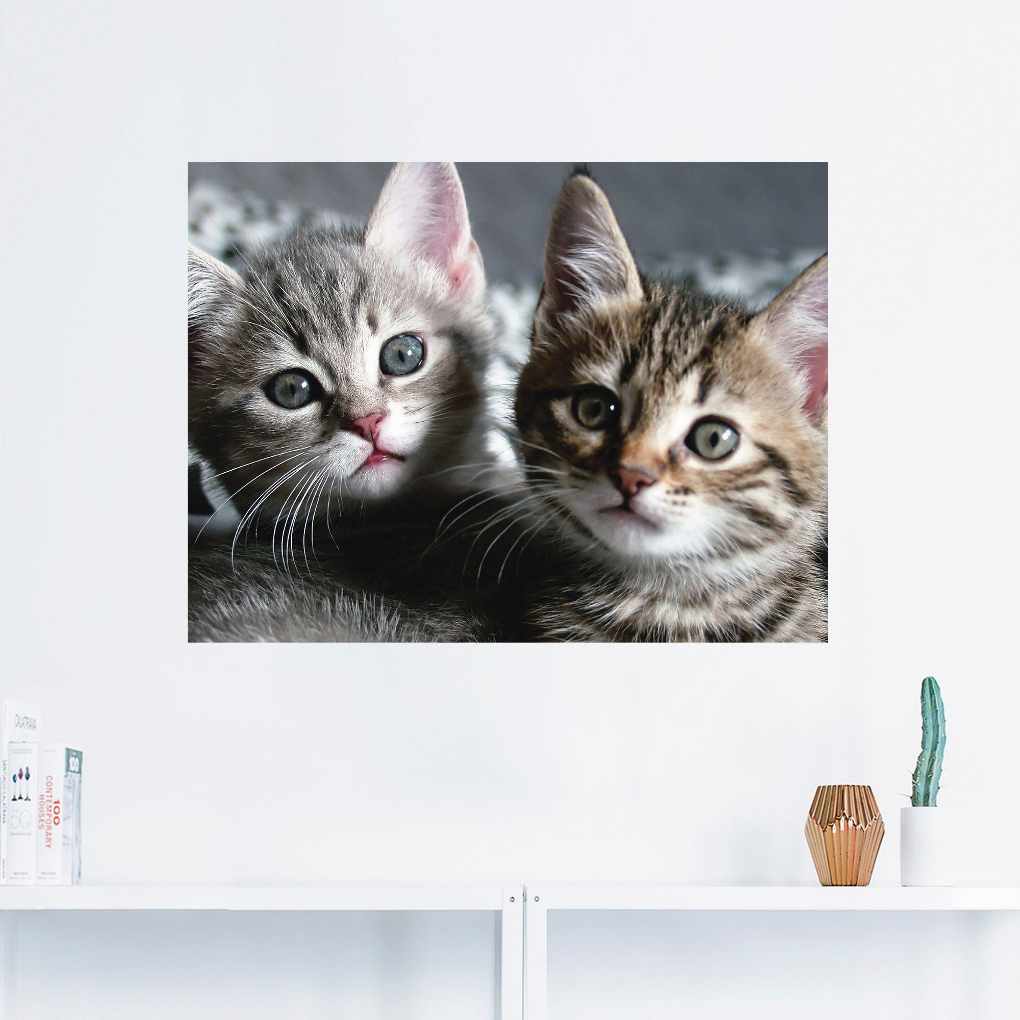 Artland Artprint Kat als artprint van aluminium, artprint voor buiten, artprint op linnen, poster, muursticker