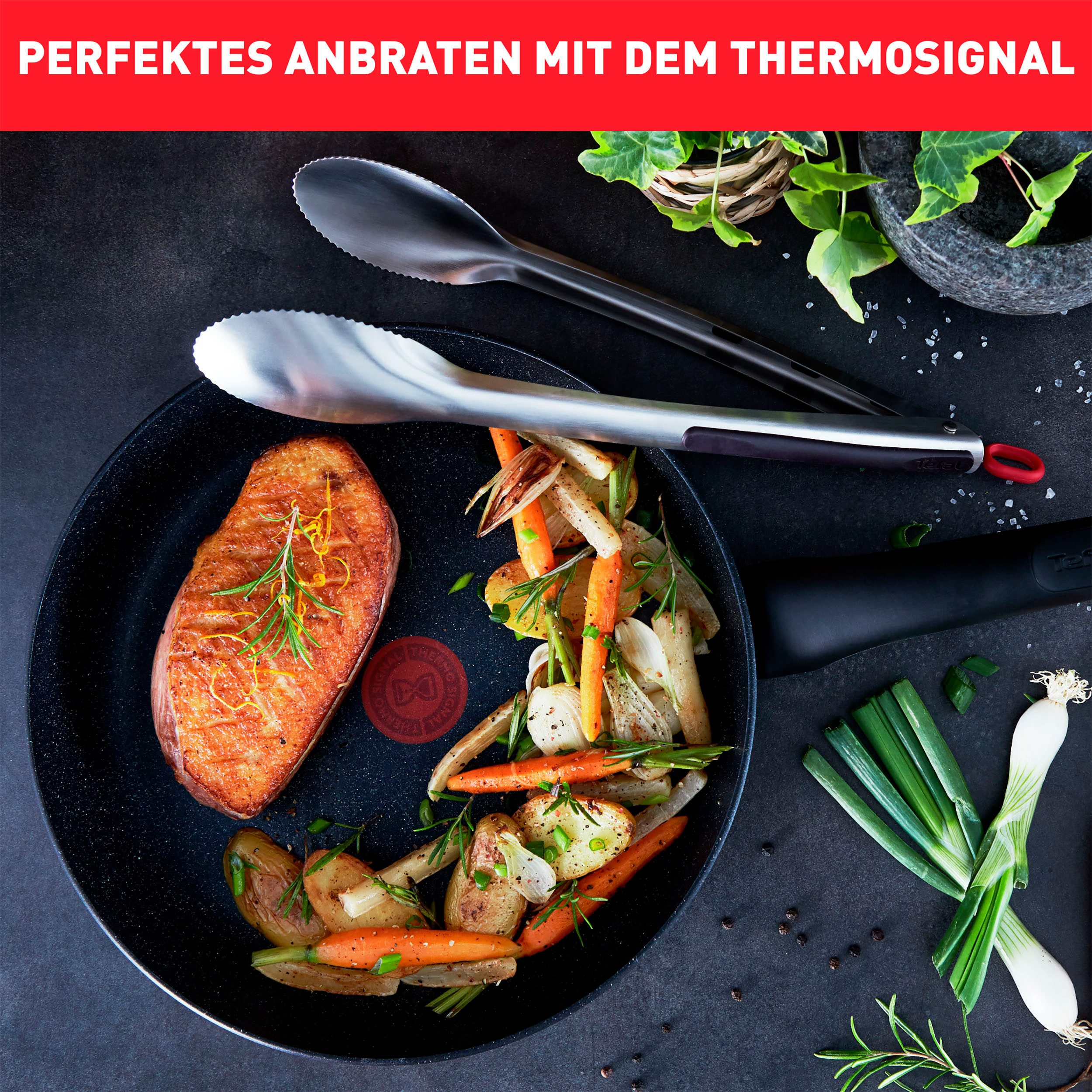 Tefal Koekenpan G28102 Black Stone Ø 20 cm Mineralia+ anti-aanbakverzegeling, thermo-signaal, inductiegeschikt